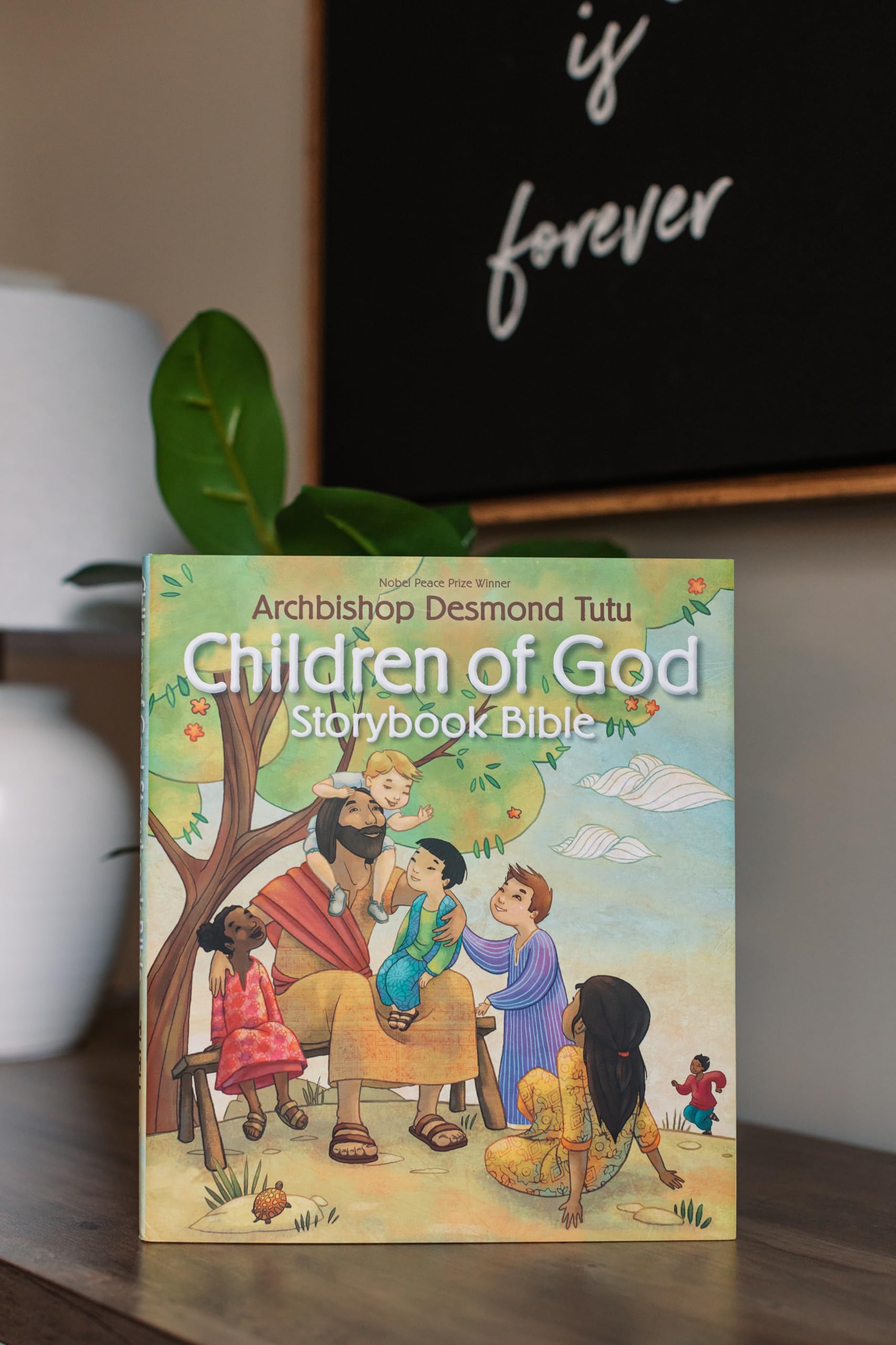 Children of God Storybook Bible used book depot