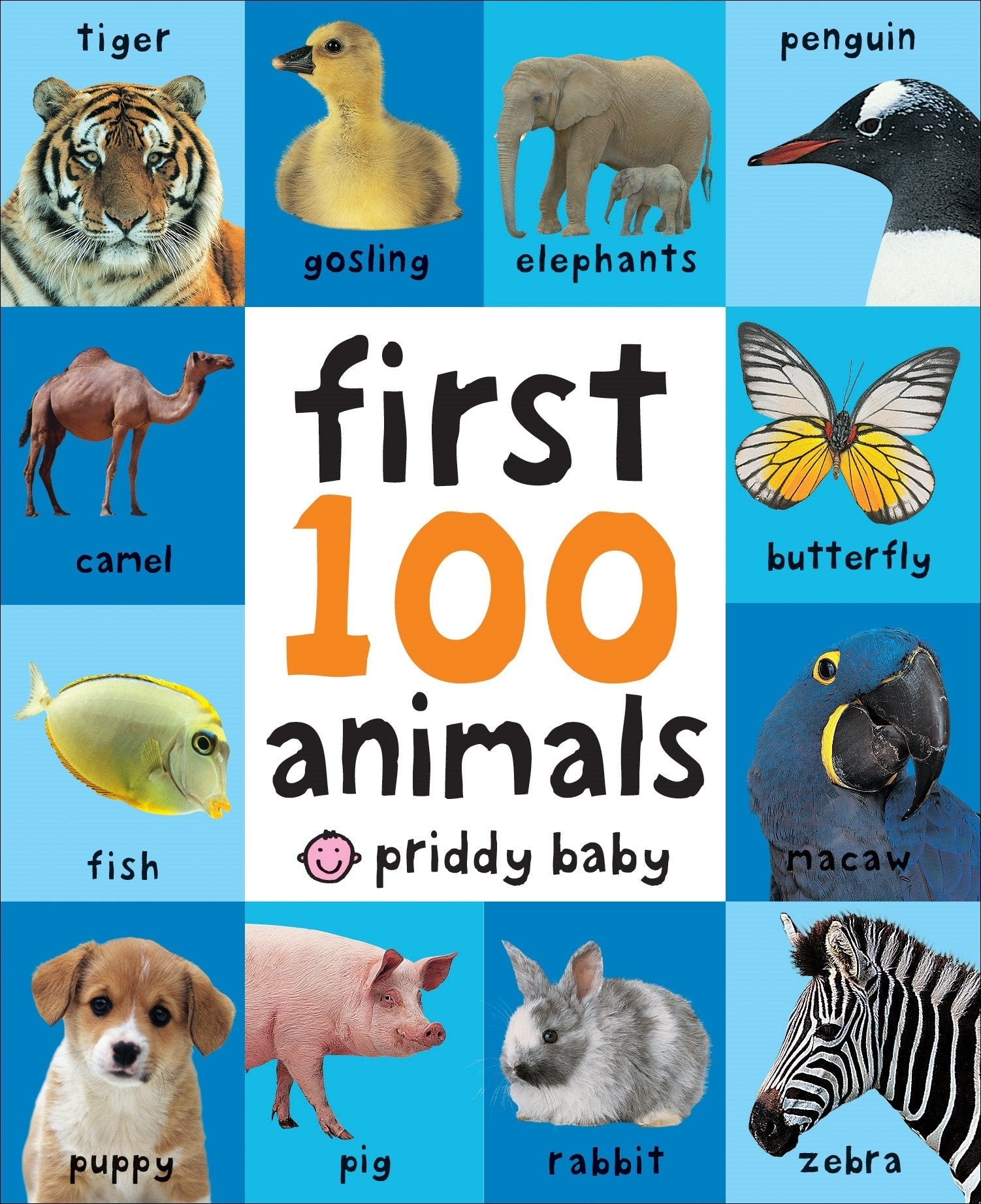 First 100 Animals: In the bestselling First 100 series used book depot