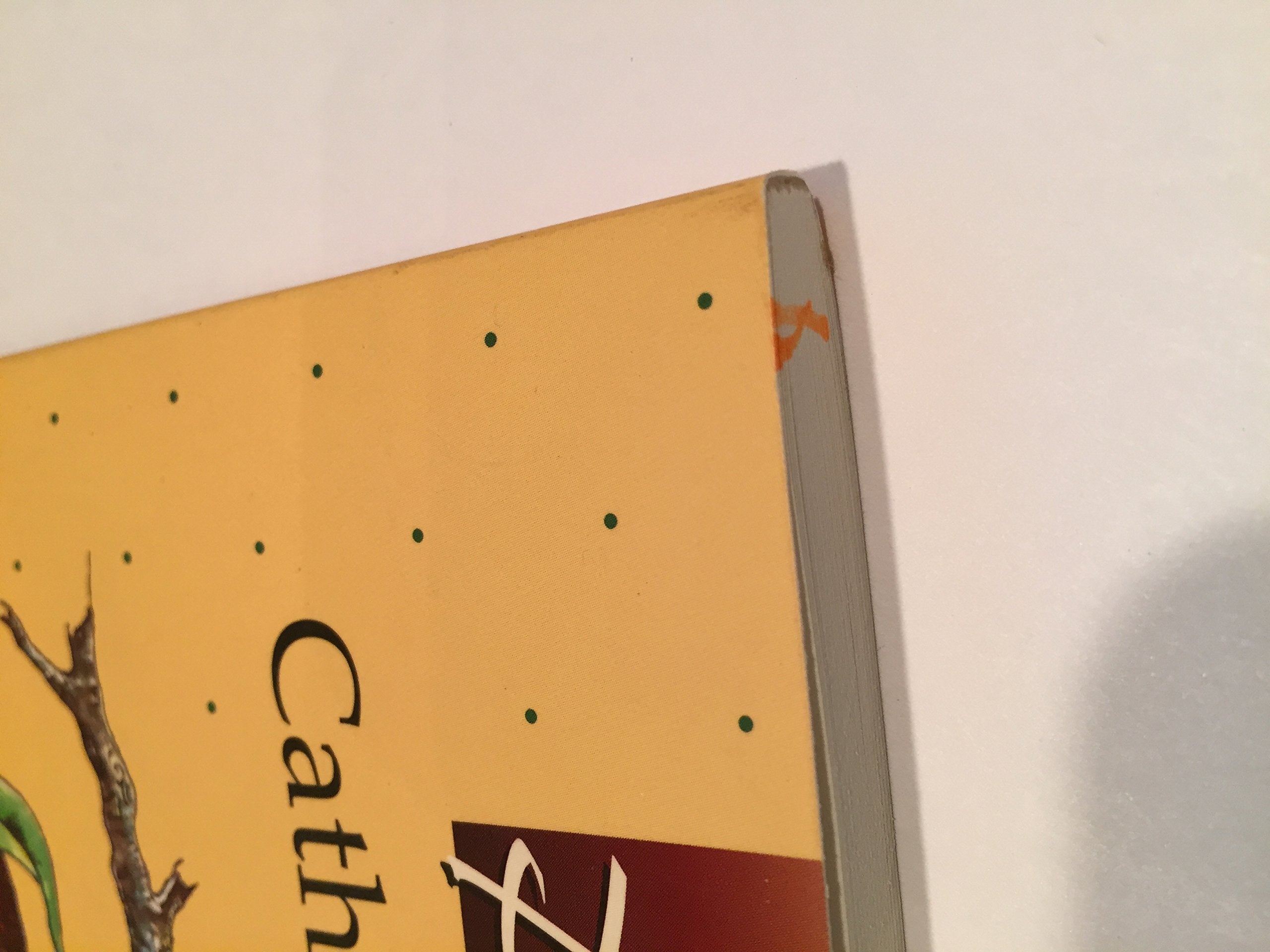 Praying With Catherine of Siena (Companions for the Journey Series) used book depot