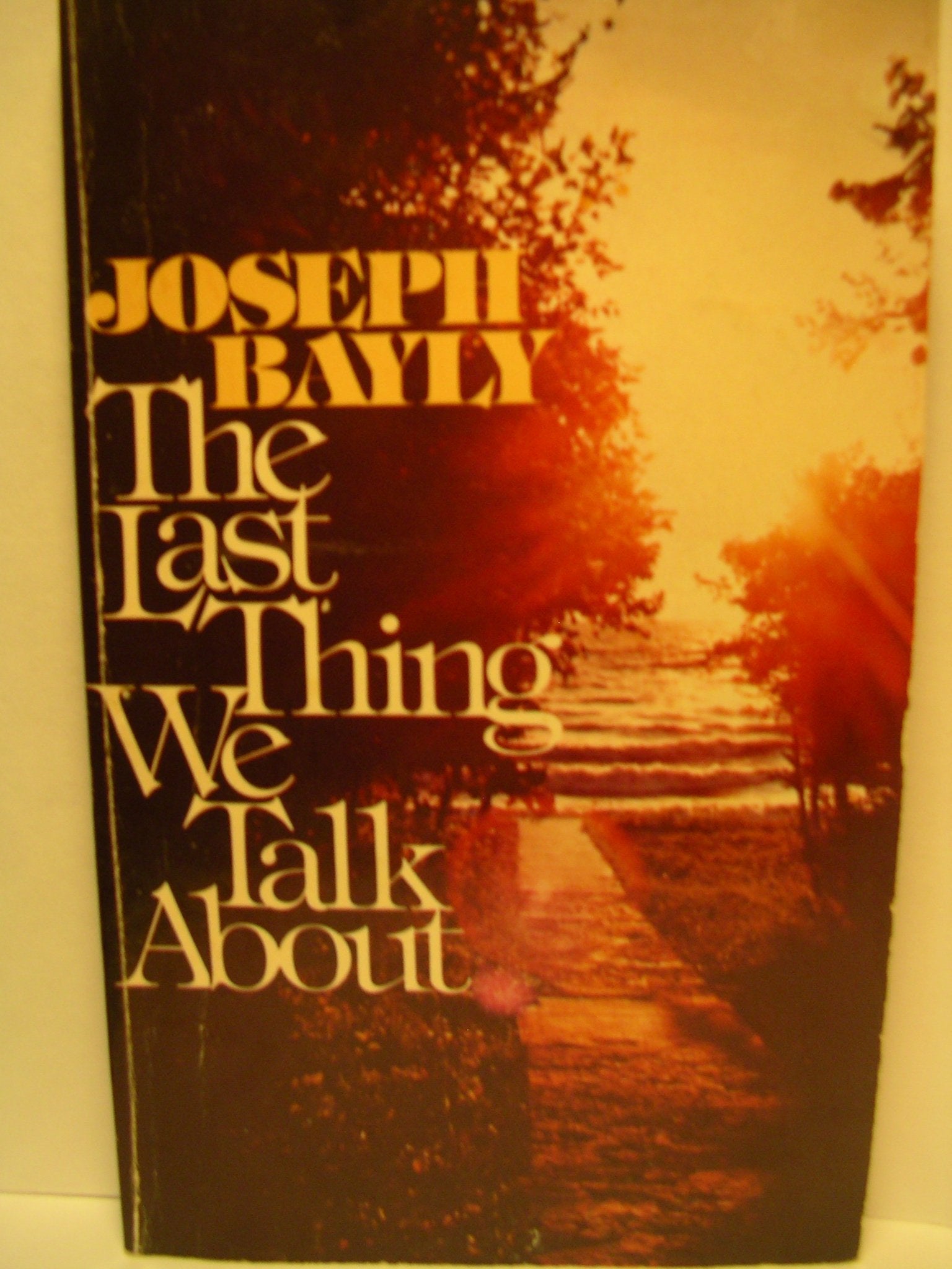 The Last Thing We Talk About used book depot