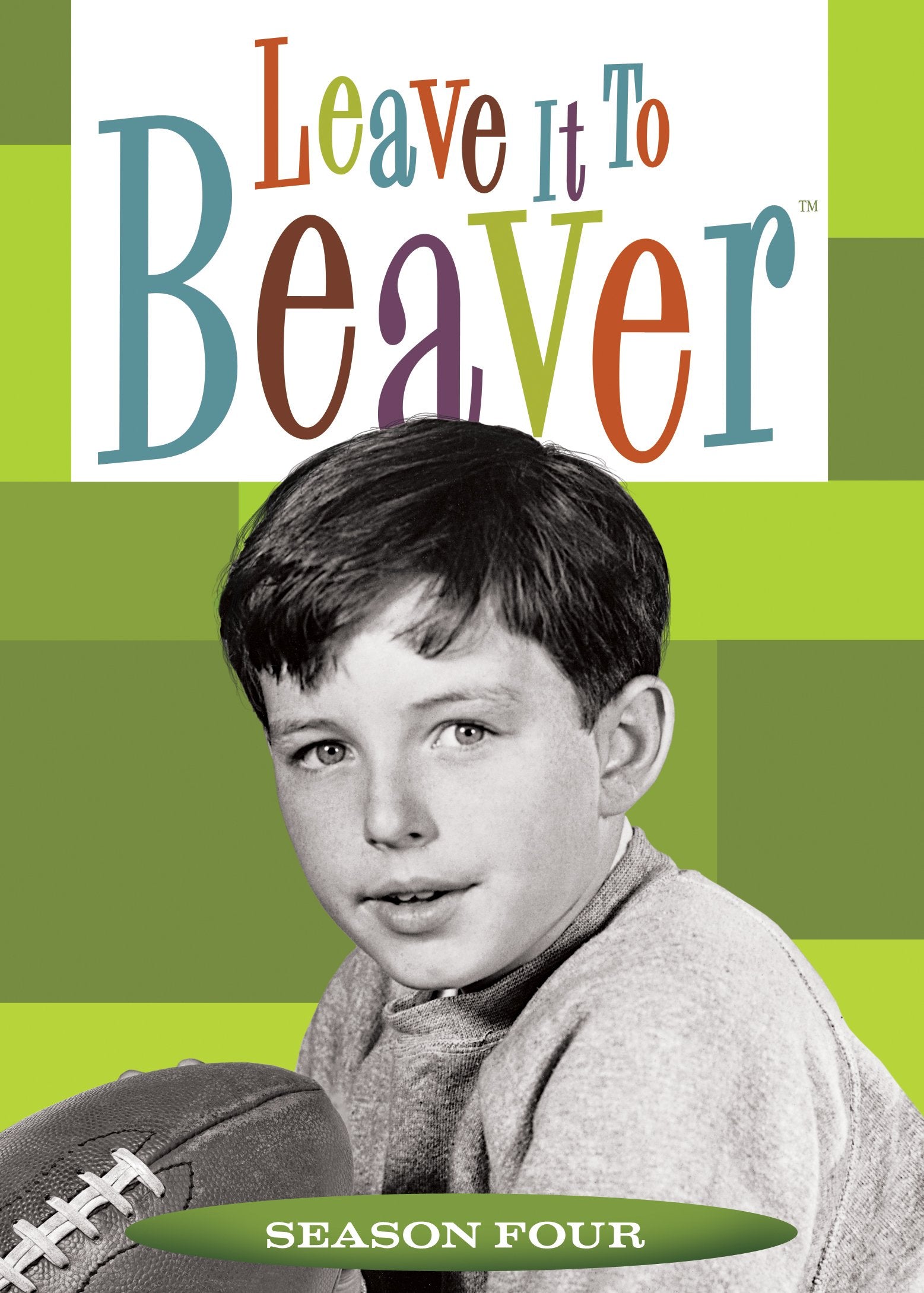 Leave it to Beaver - Season 4 used book depot