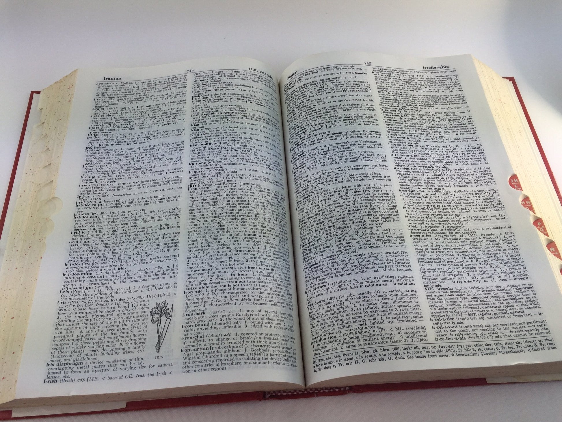 Webster's New World Dictionary and Thesaurus, 2nd Edition used book depot
