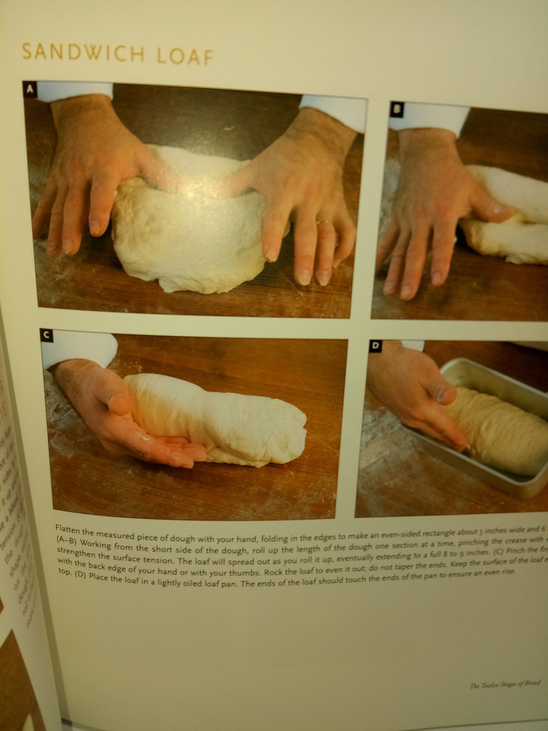 The Bread Baker's Apprentice: Mastering the Art of Extraordinary Bread used book depot