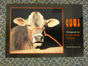 Cows used book depot