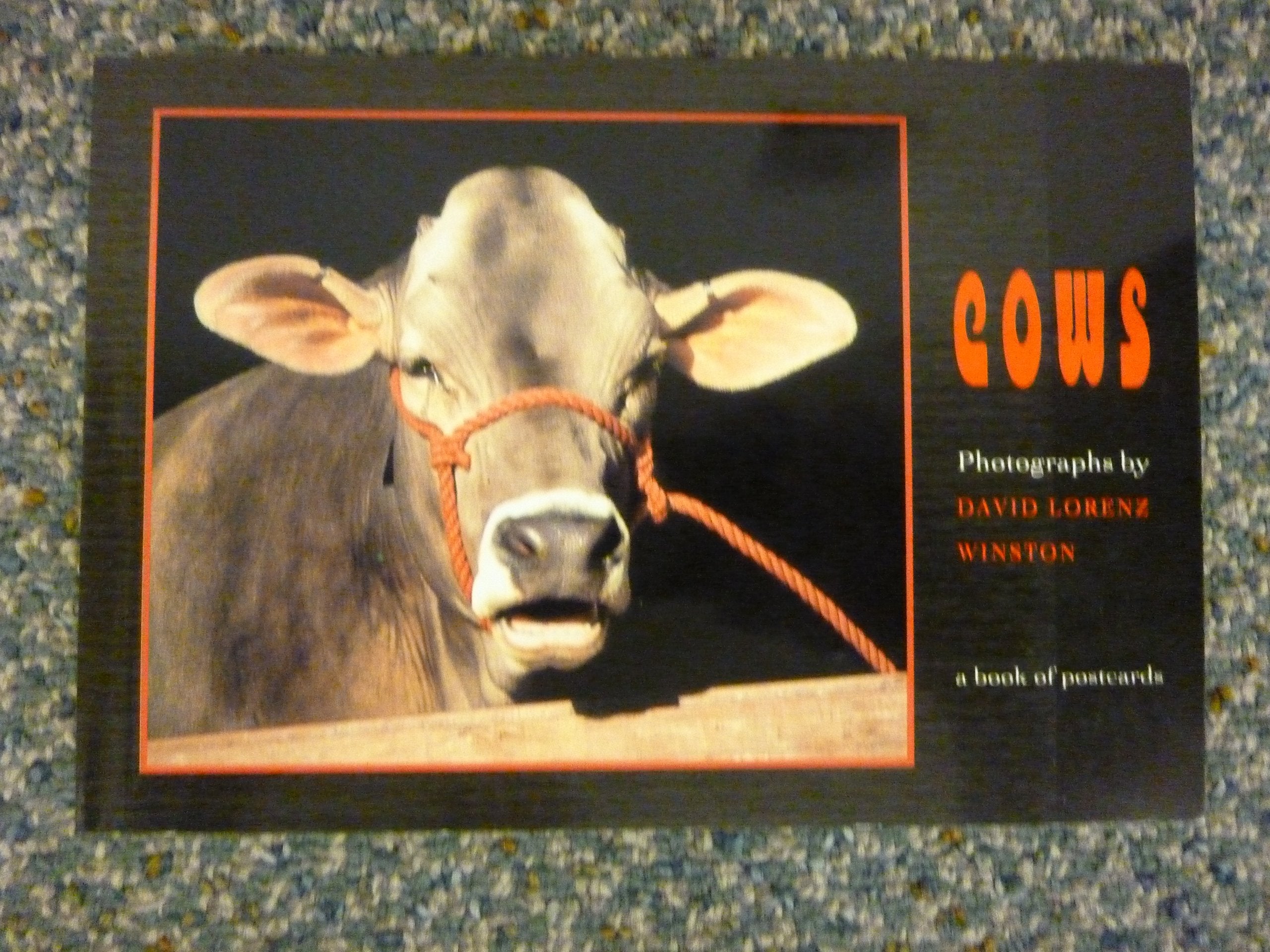 Cows used book depot