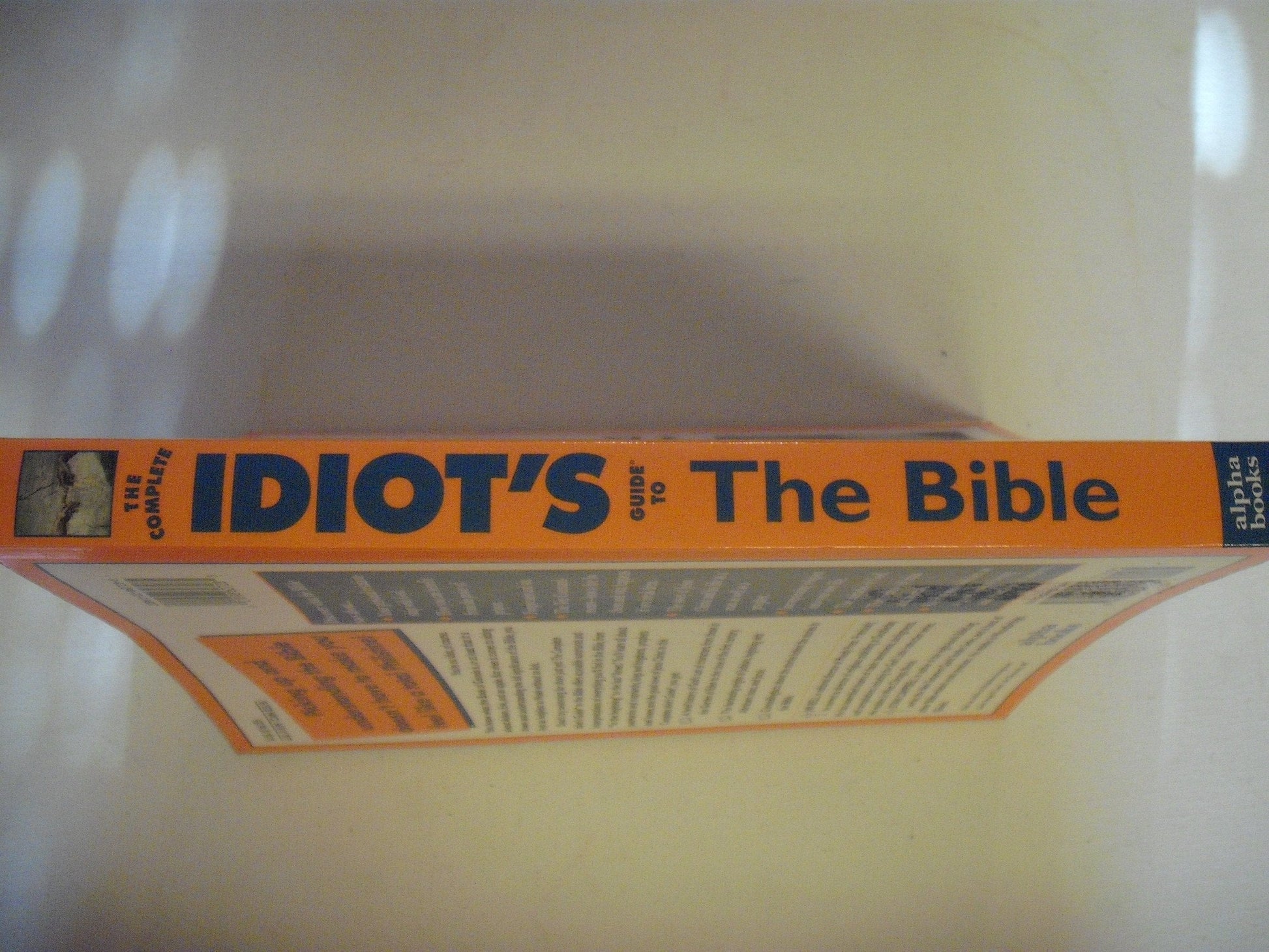 The Complete Idiots Guide to The Bible used book depot