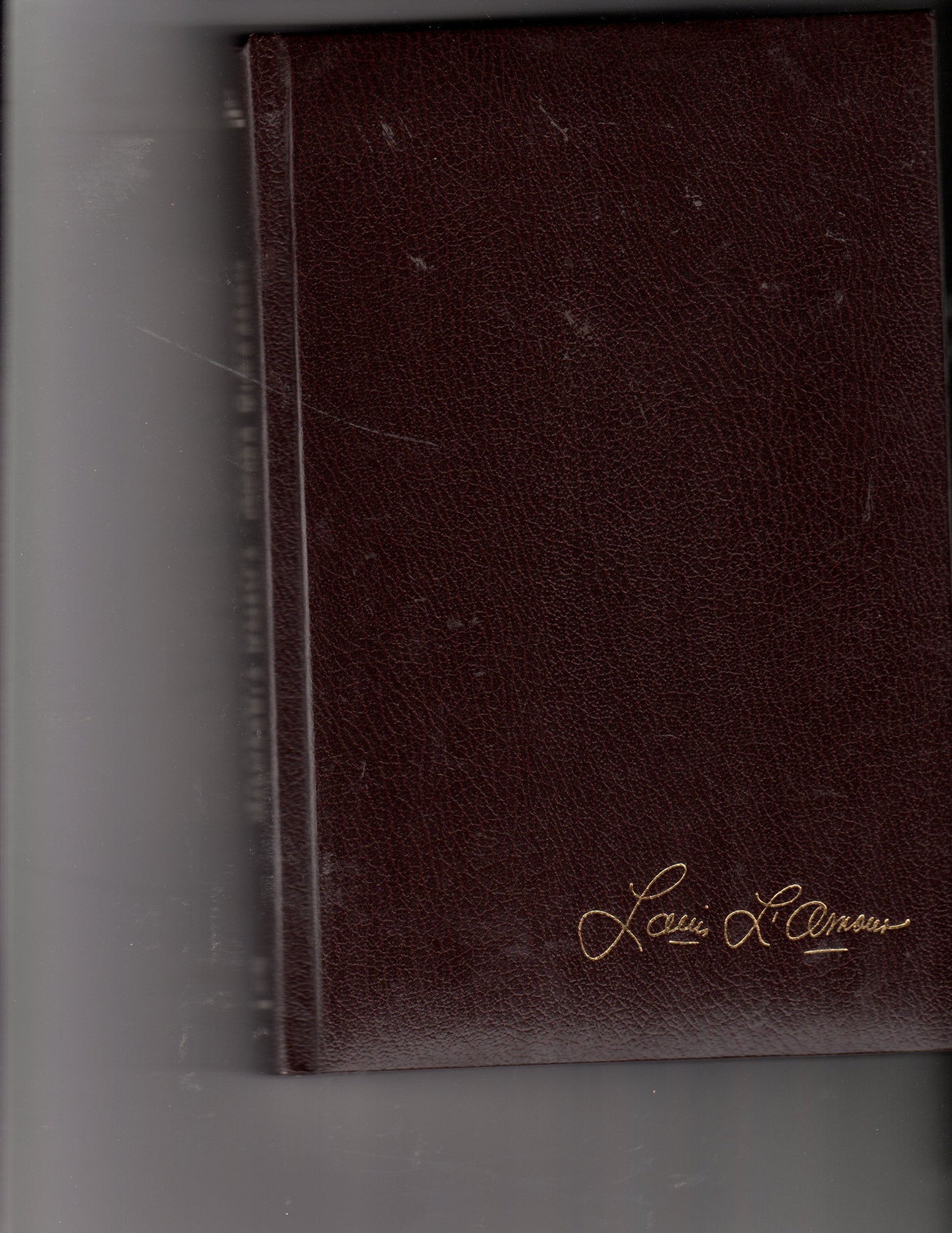 Reilly's luck used book depot