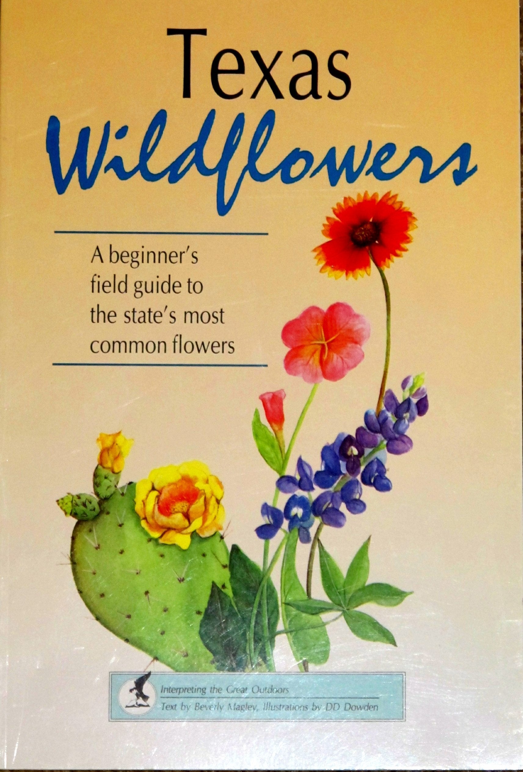 Texas Wildflowers: A Beginner's Field Guide to the State's Most Common Flowers (Interpreting the Great Outdoors) used book depot