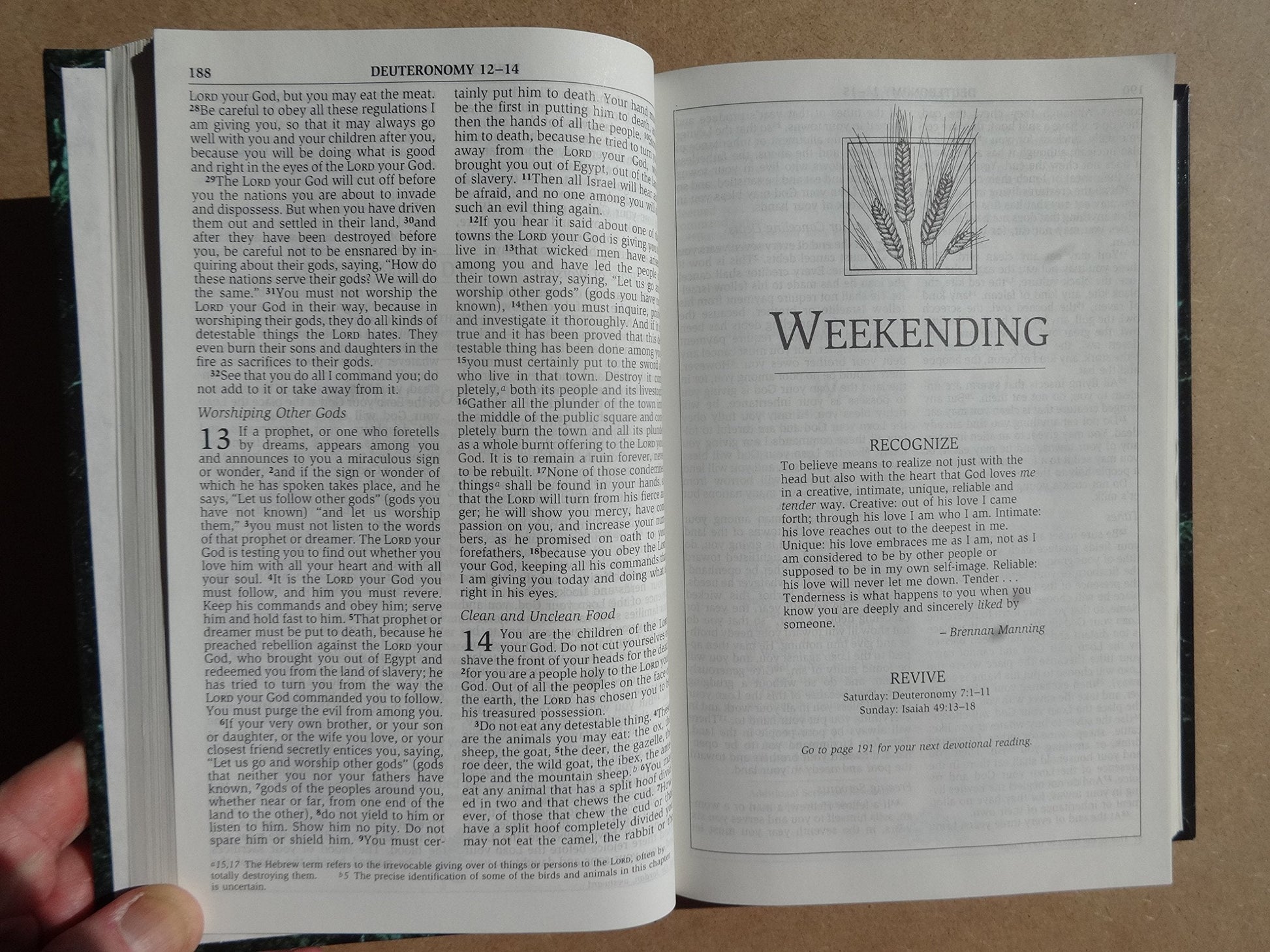 NIV Men's Devotional Bible: New International Version used book depot