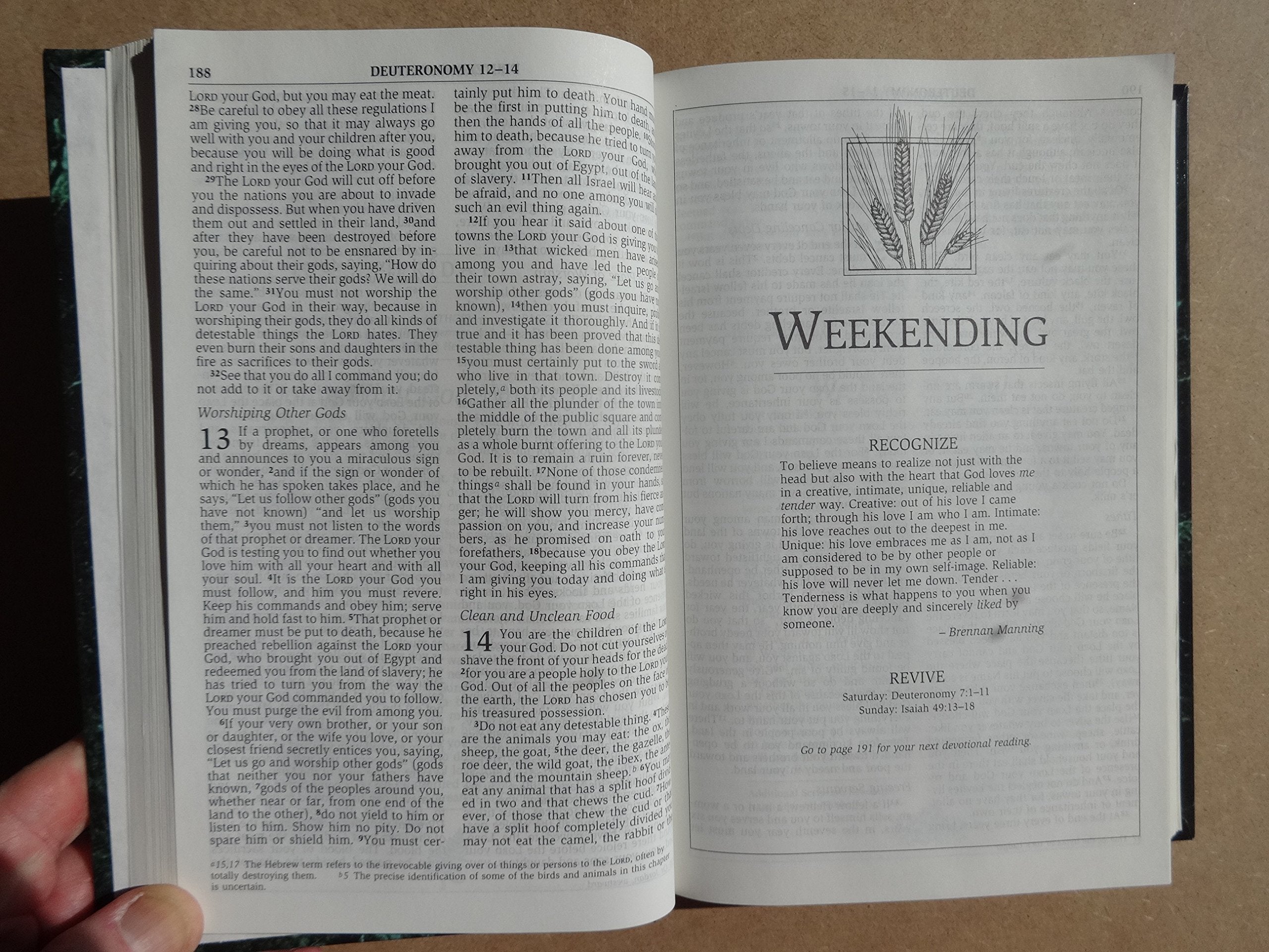 NIV Men's Devotional Bible: New International Version used book depot