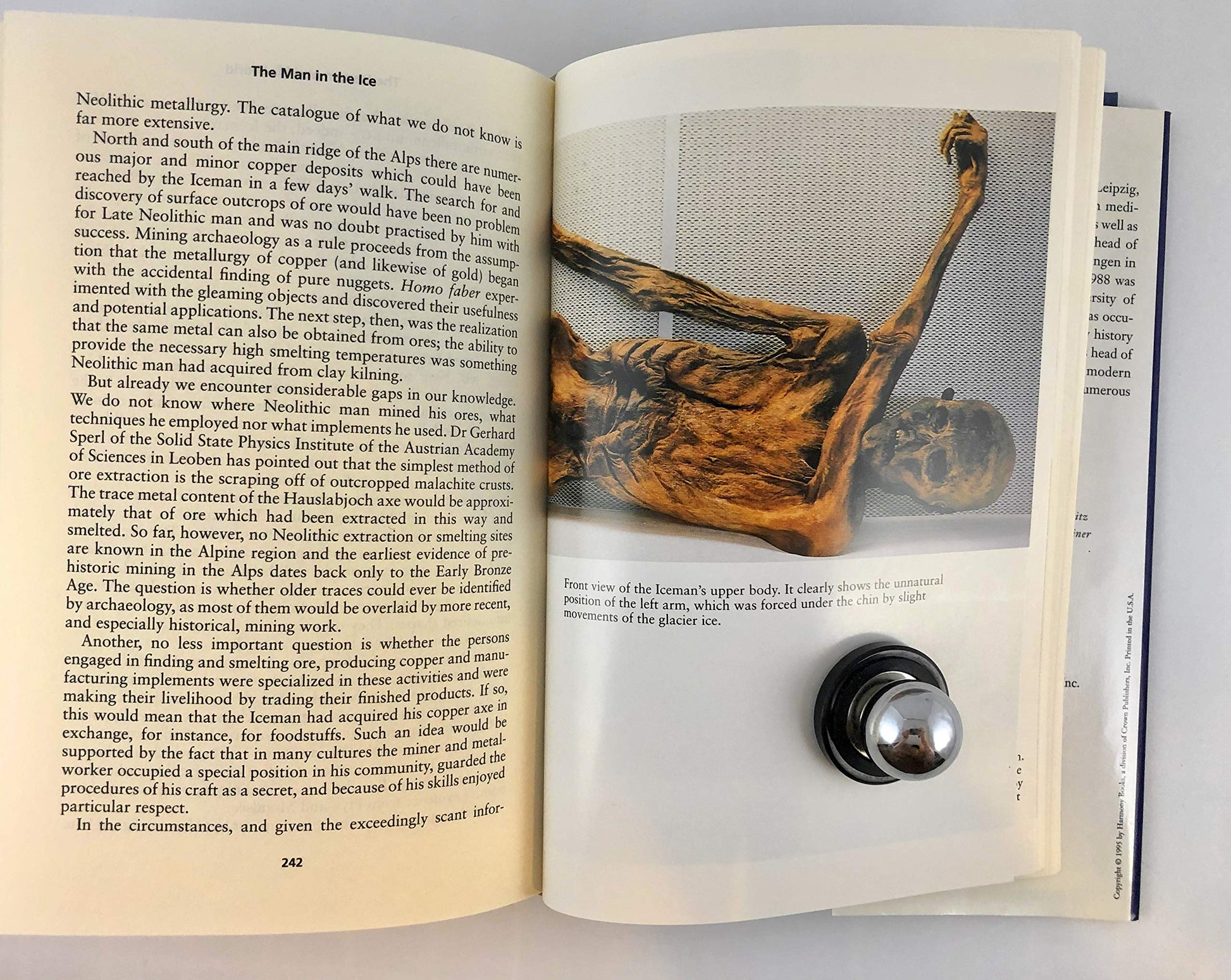 The Man in the Ice: The Discovery of a 5,000-Year-Old Body Reveals the Secrets of the Stone Age used book depot