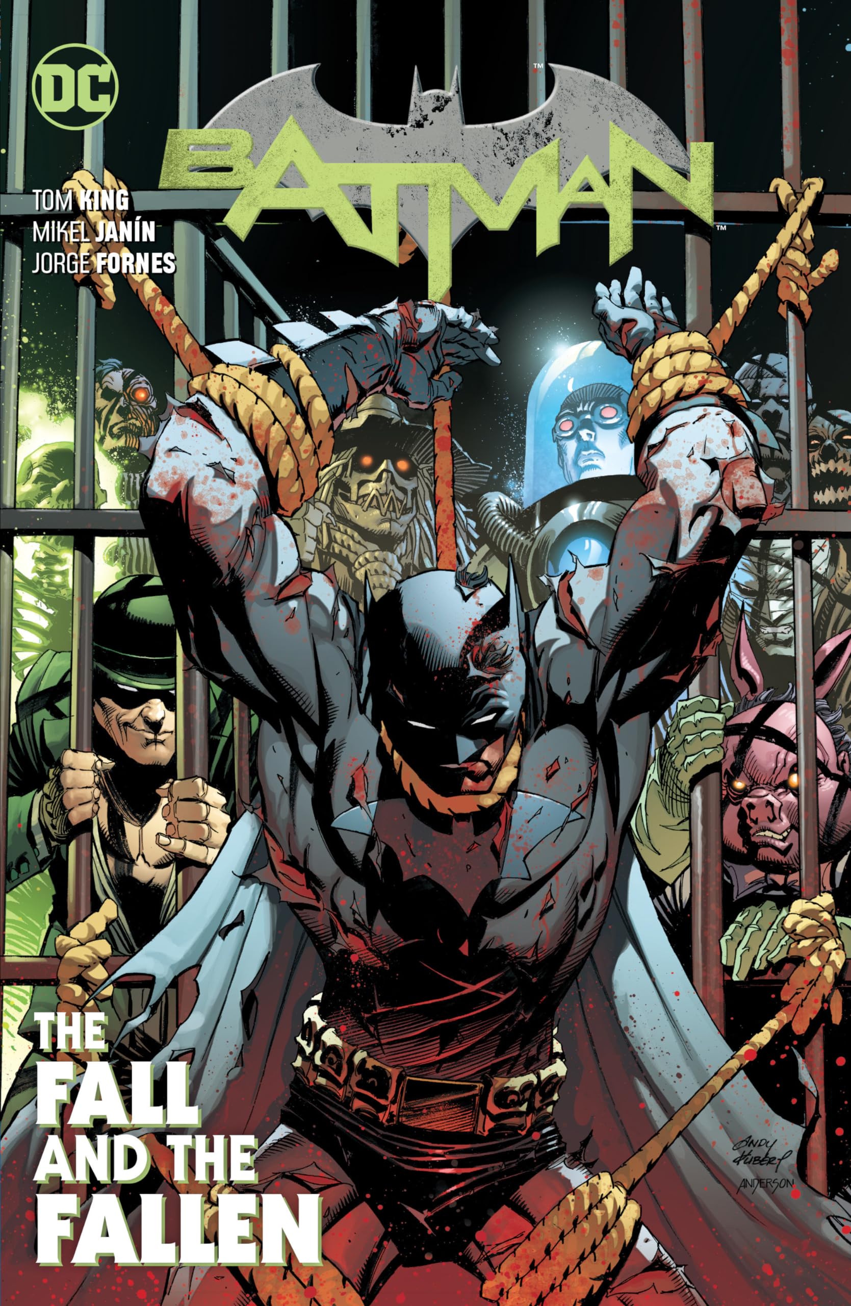 Batman 11: The Fall and the Fallen used book depot