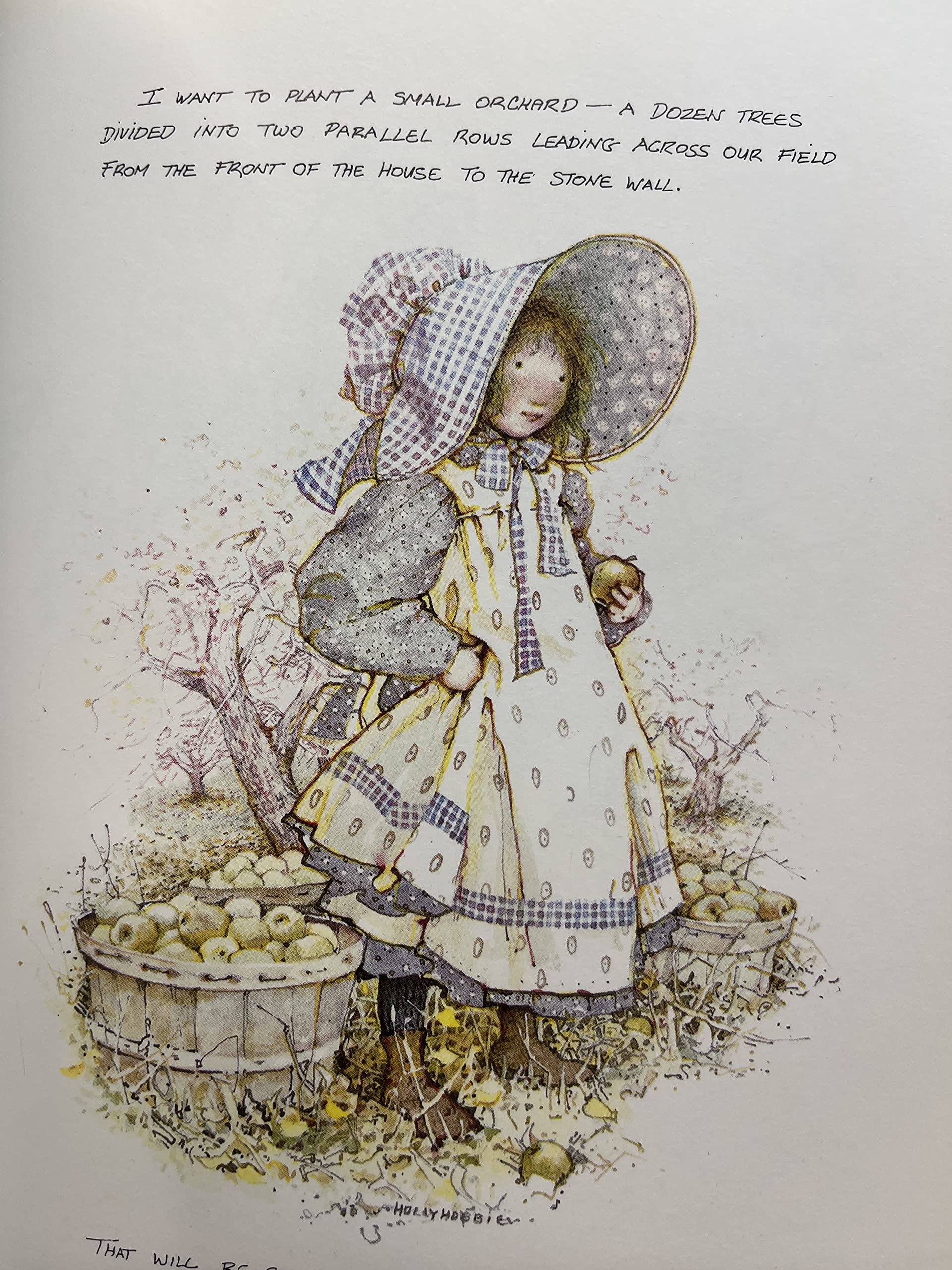 The Art of Holly Hobbie used book depot