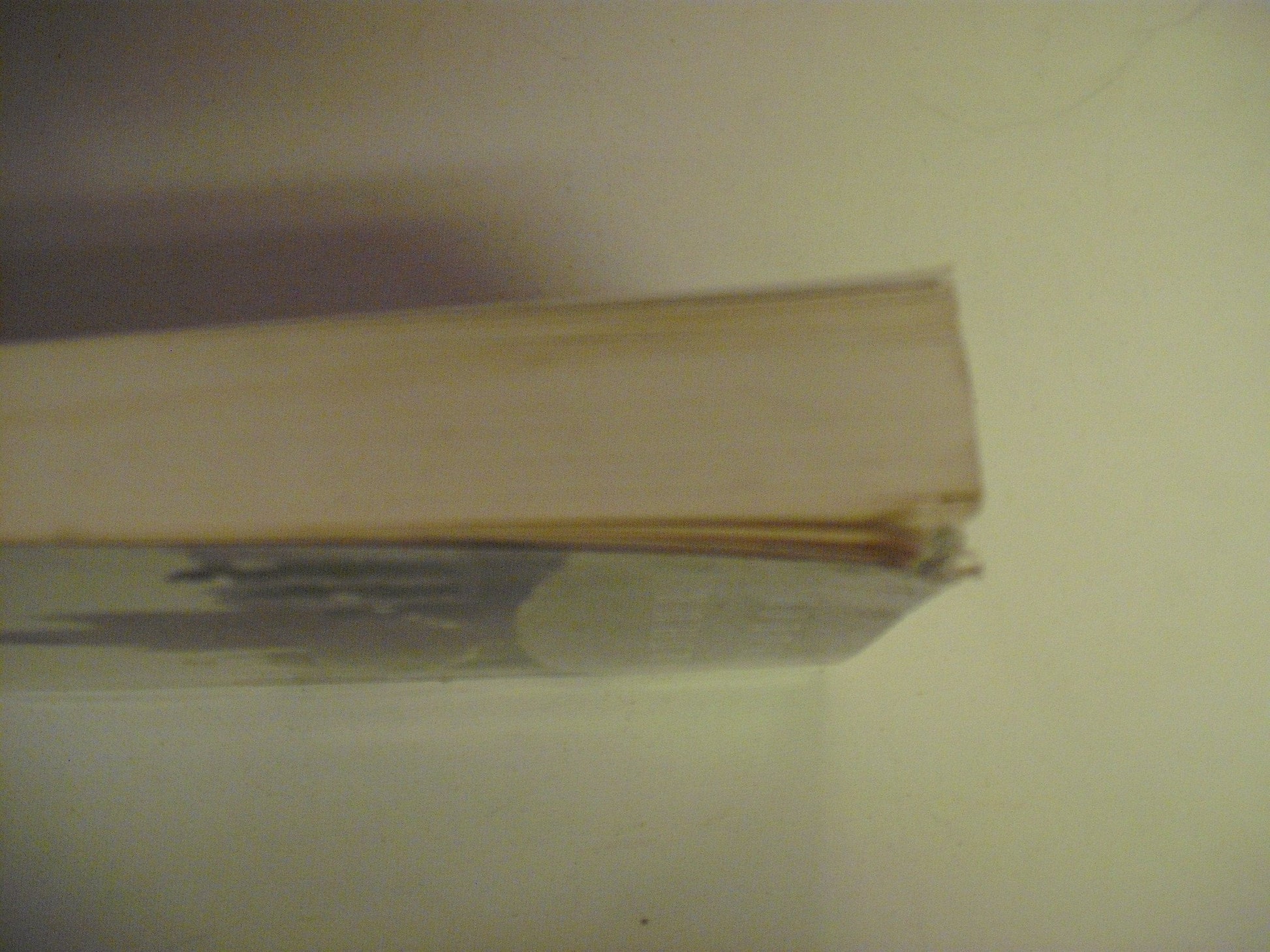 Prague: A Novel used book depot