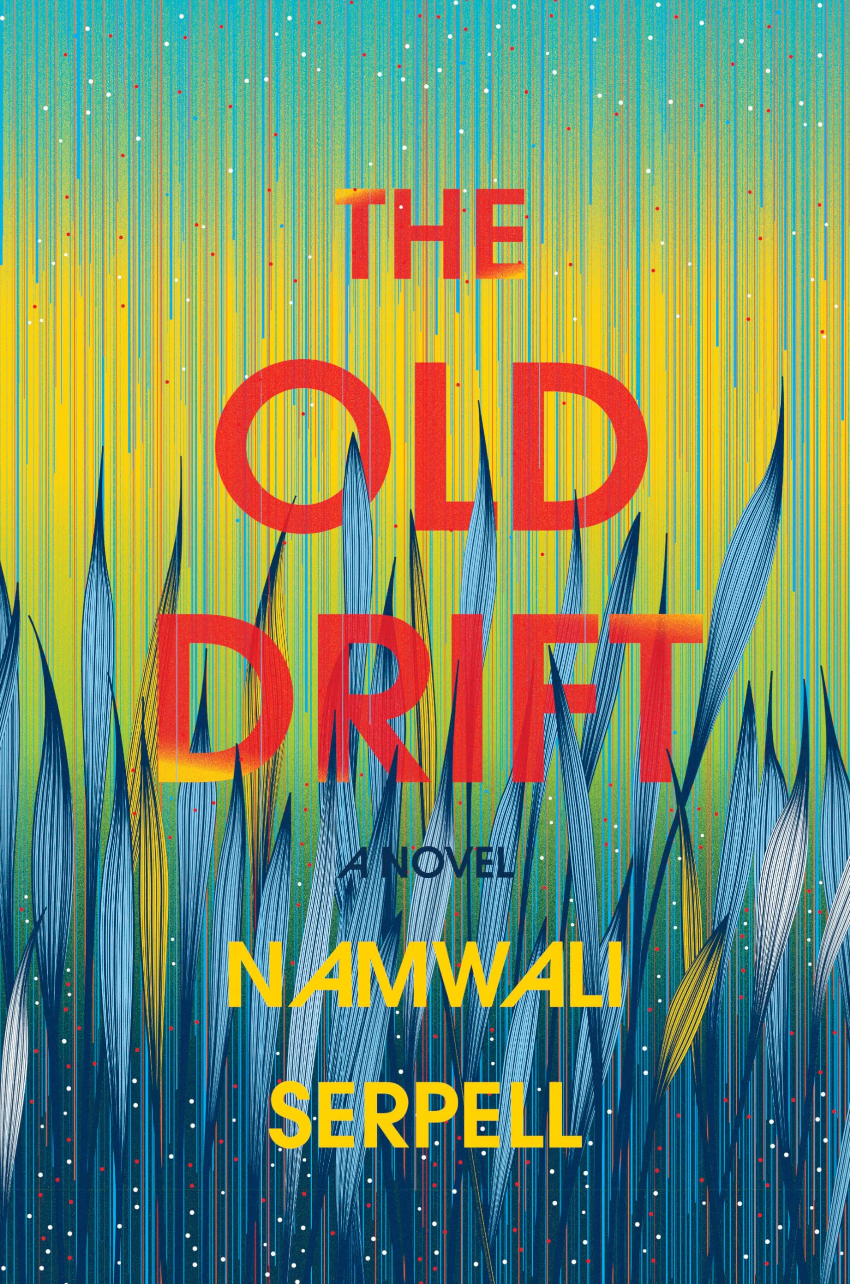 The Old Drift: A Novel used book depot