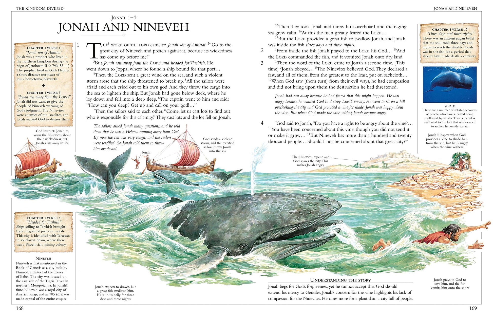 Illustrated Family Bible: Understanding the Greatest Story Ever Told (DK Bibles and Bible Guides) used book depot