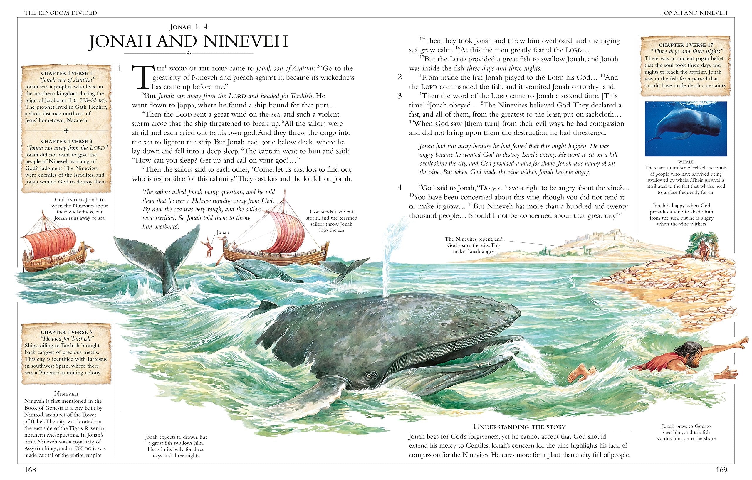 Illustrated Family Bible: Understanding the Greatest Story Ever Told (DK Bibles and Bible Guides) used book depot