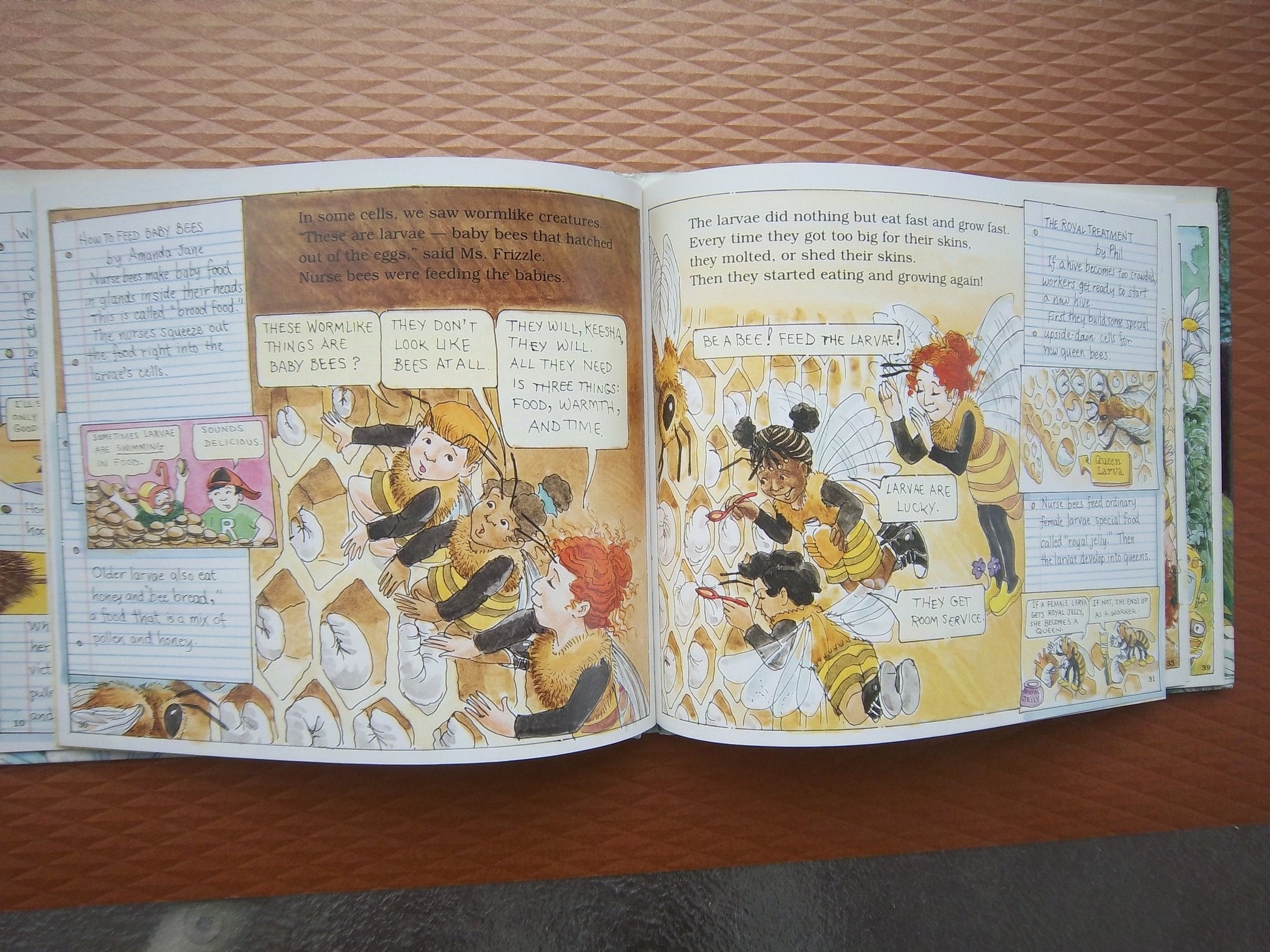 The Magic School Bus Inside a Beehive used book depot