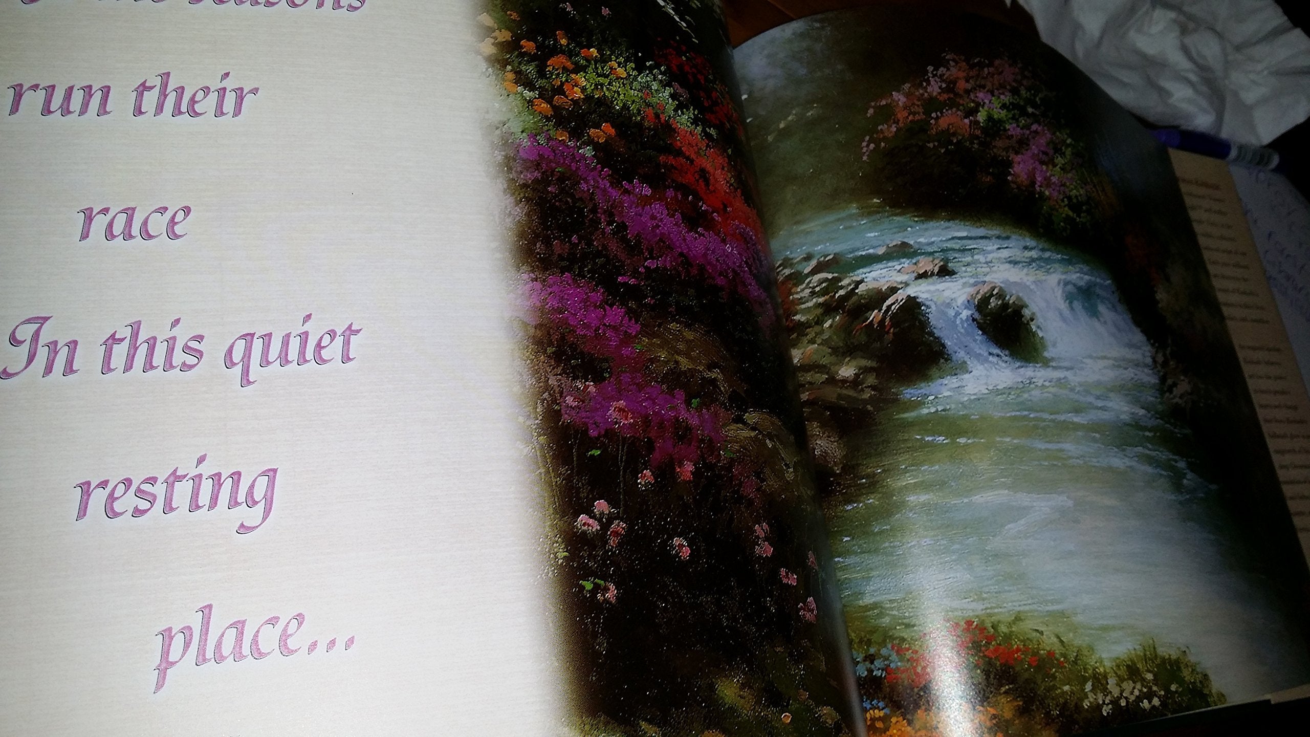 Beyond the Garden Gate (Lighted Path Collection®) used book depot