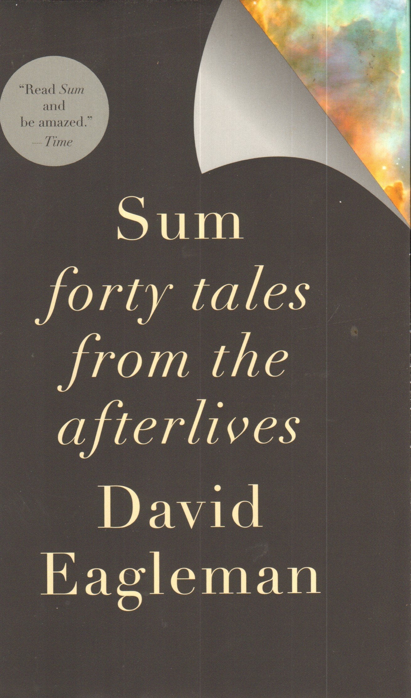 Sum: Forty Tales from the Afterlives used book depot