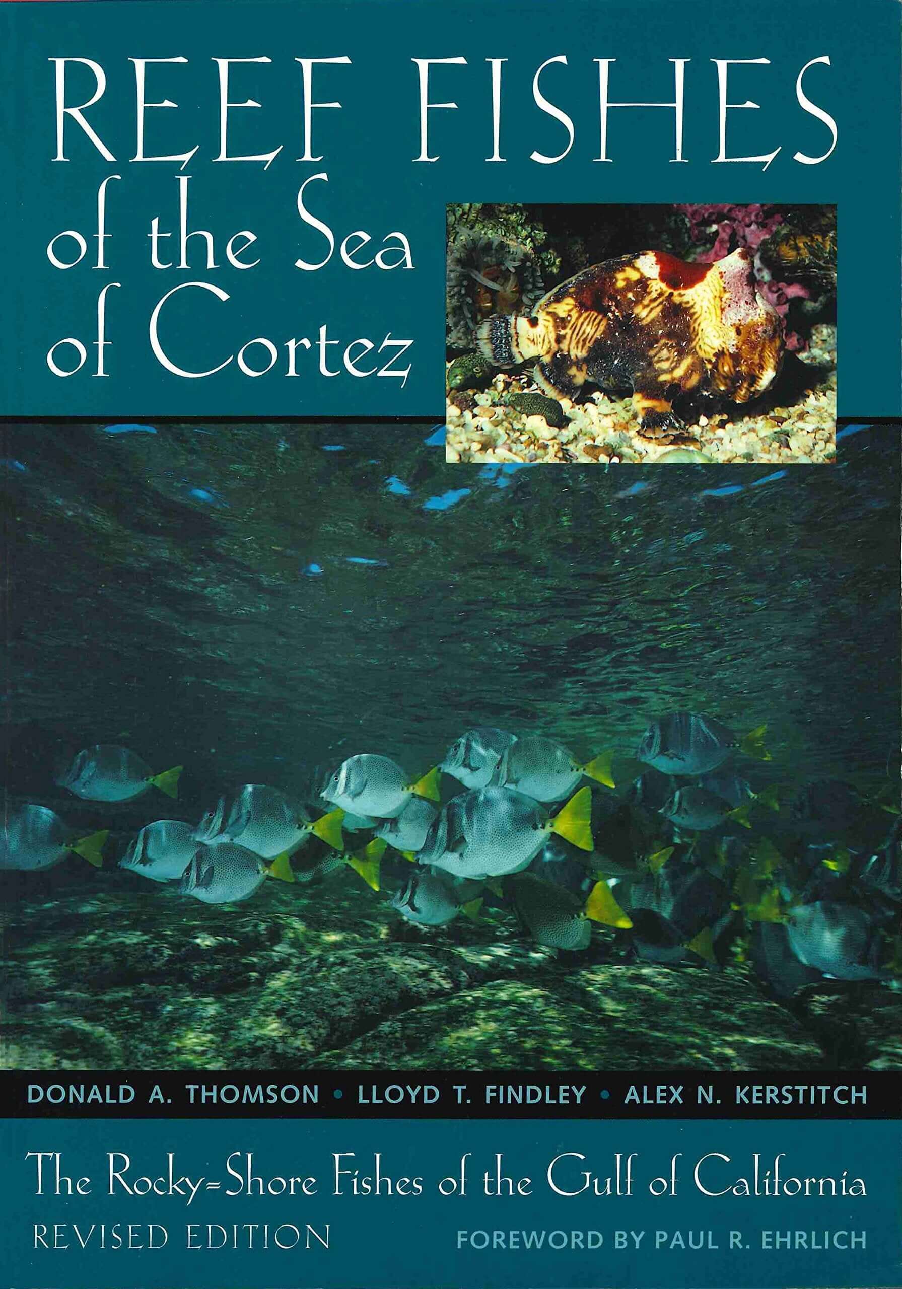 Reef Fishes of the Sea of Cortez: The Rocky-Shore Fishes of the Gulf of used book depot