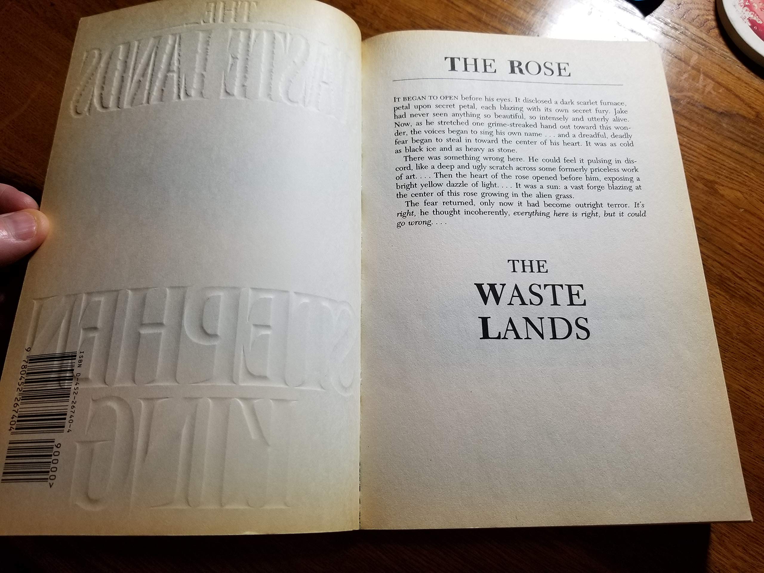 The Waste Lands: The Dark Tower Book III used book depot