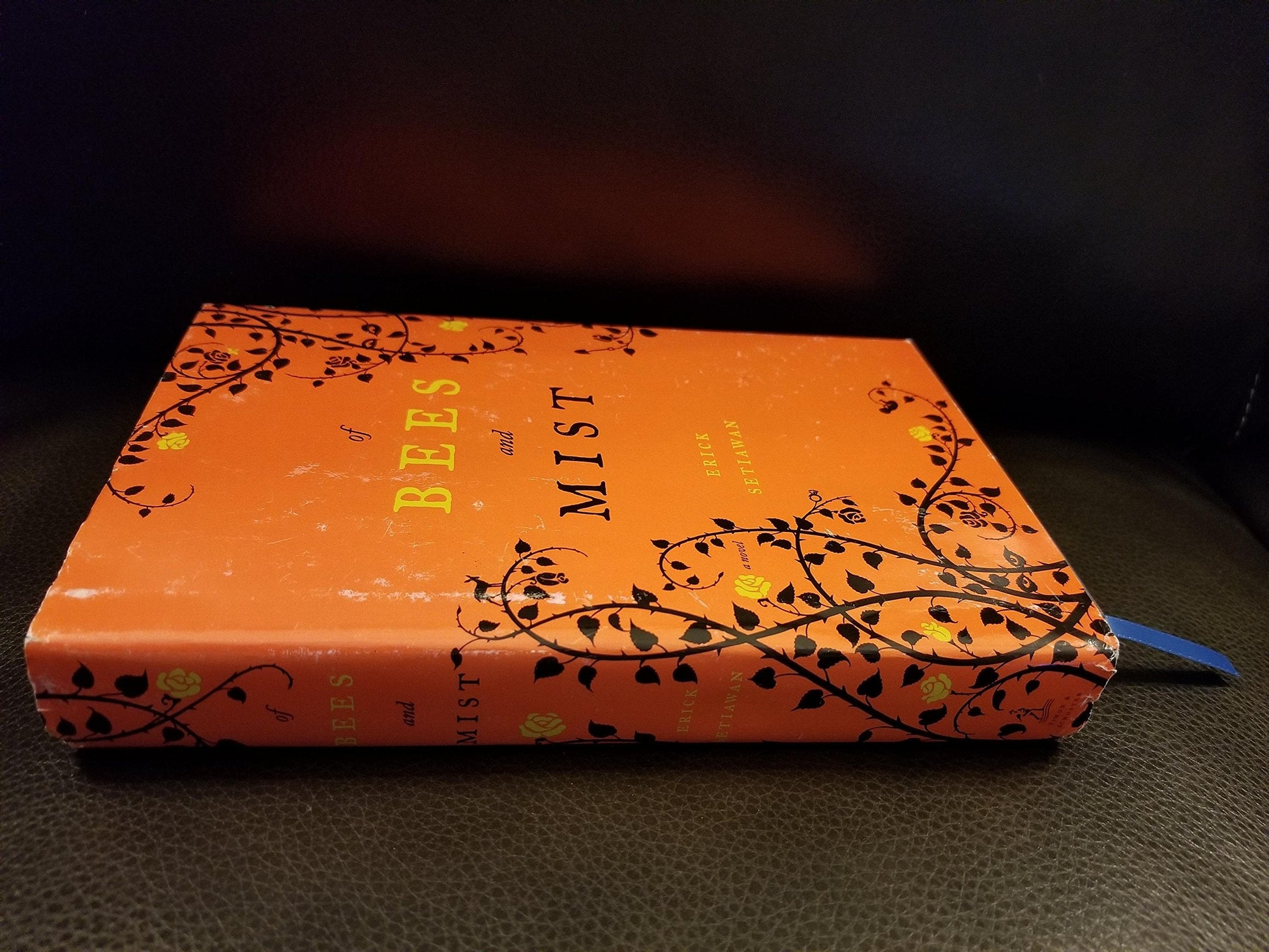 Of Bees and Mist: A Novel used book depot