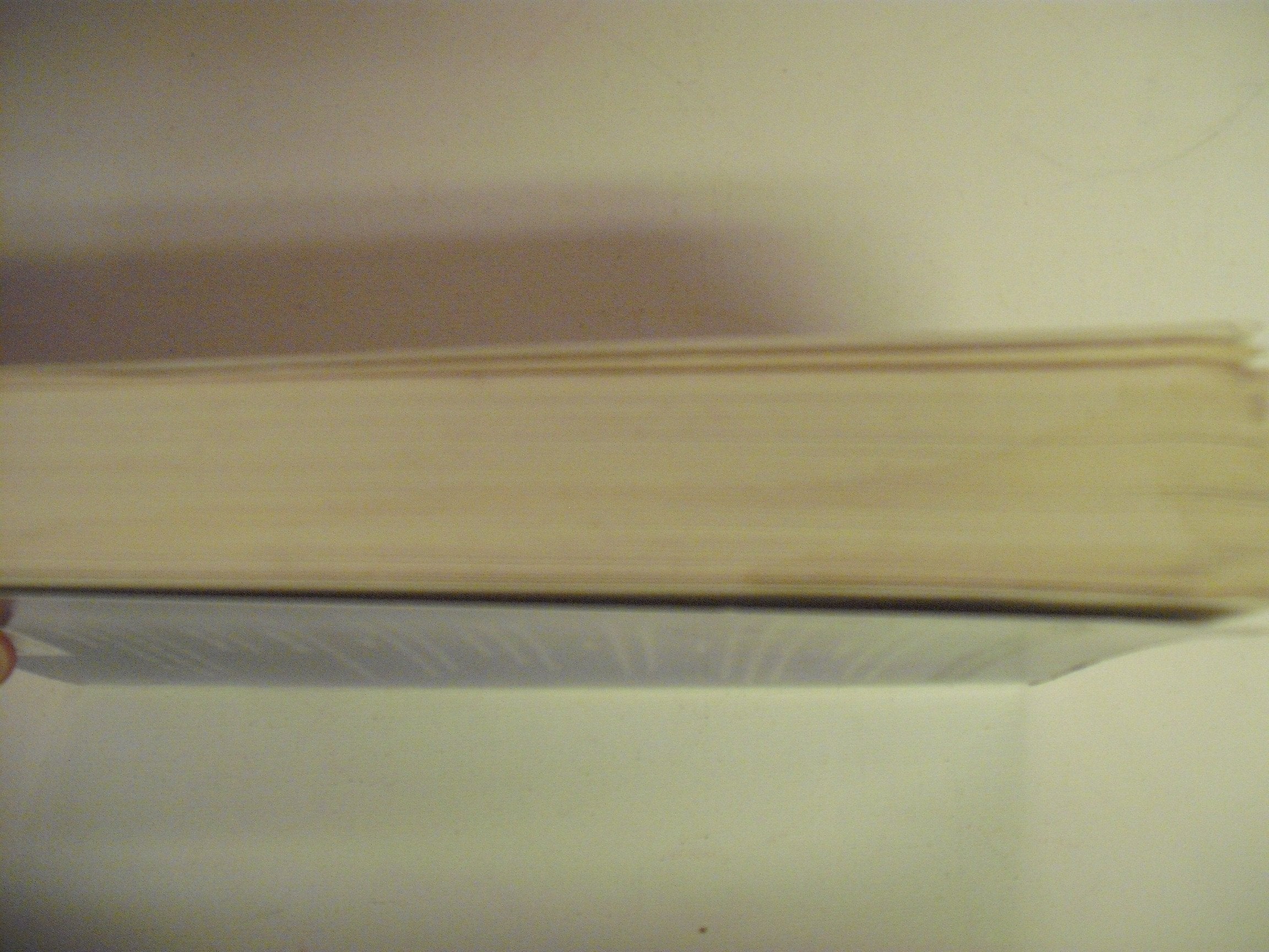 Prague: A Novel used book depot