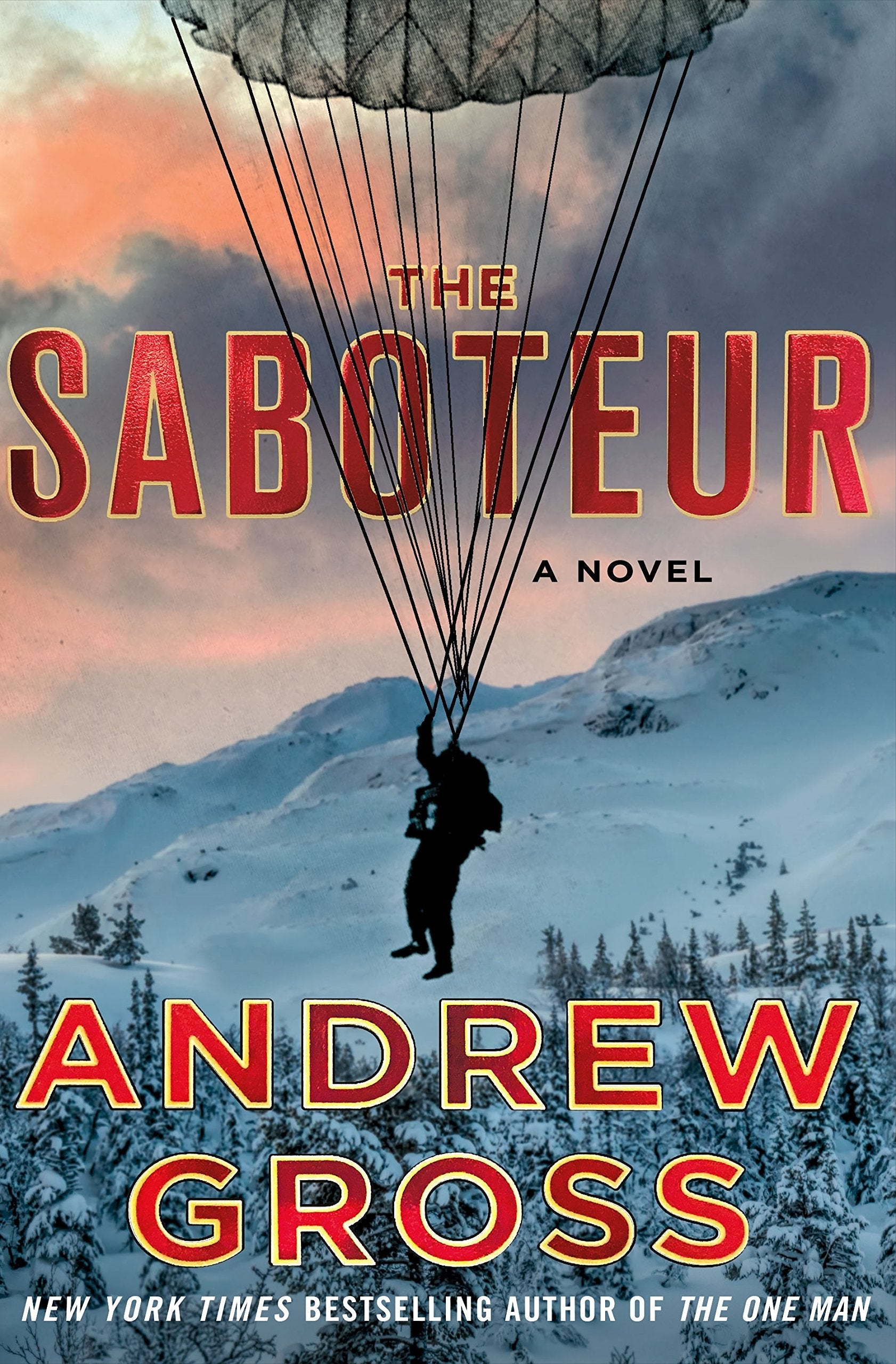 The Saboteur: A Novel used book depot