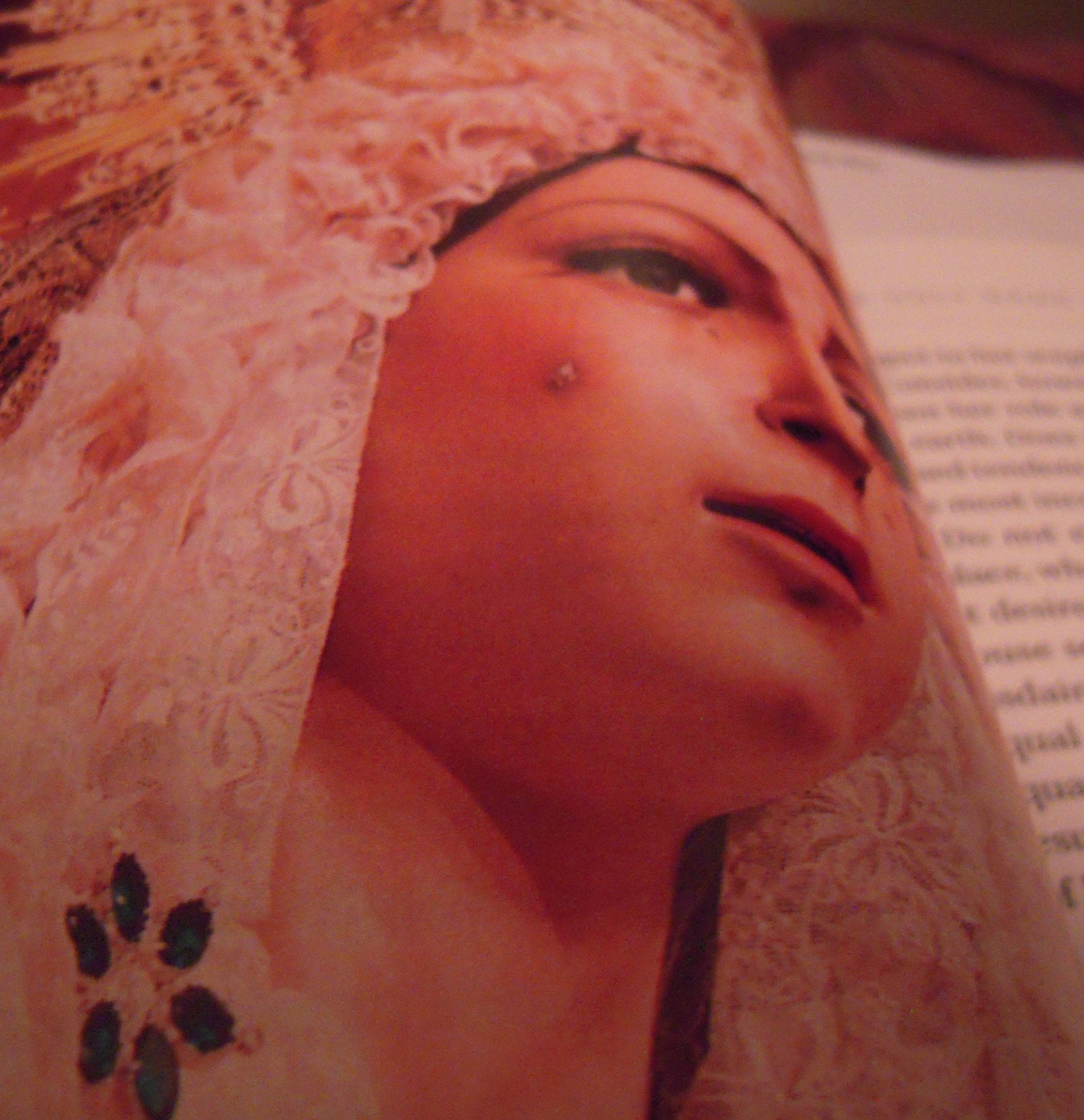 The Virgin Mary by Father Raymond De Thomas De Saint Laurent used book depot