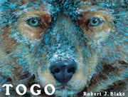 Togo used book depot