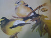 Painting Songbirds with Sherry C. Nelson: 15 Beautiful Birds in Oil