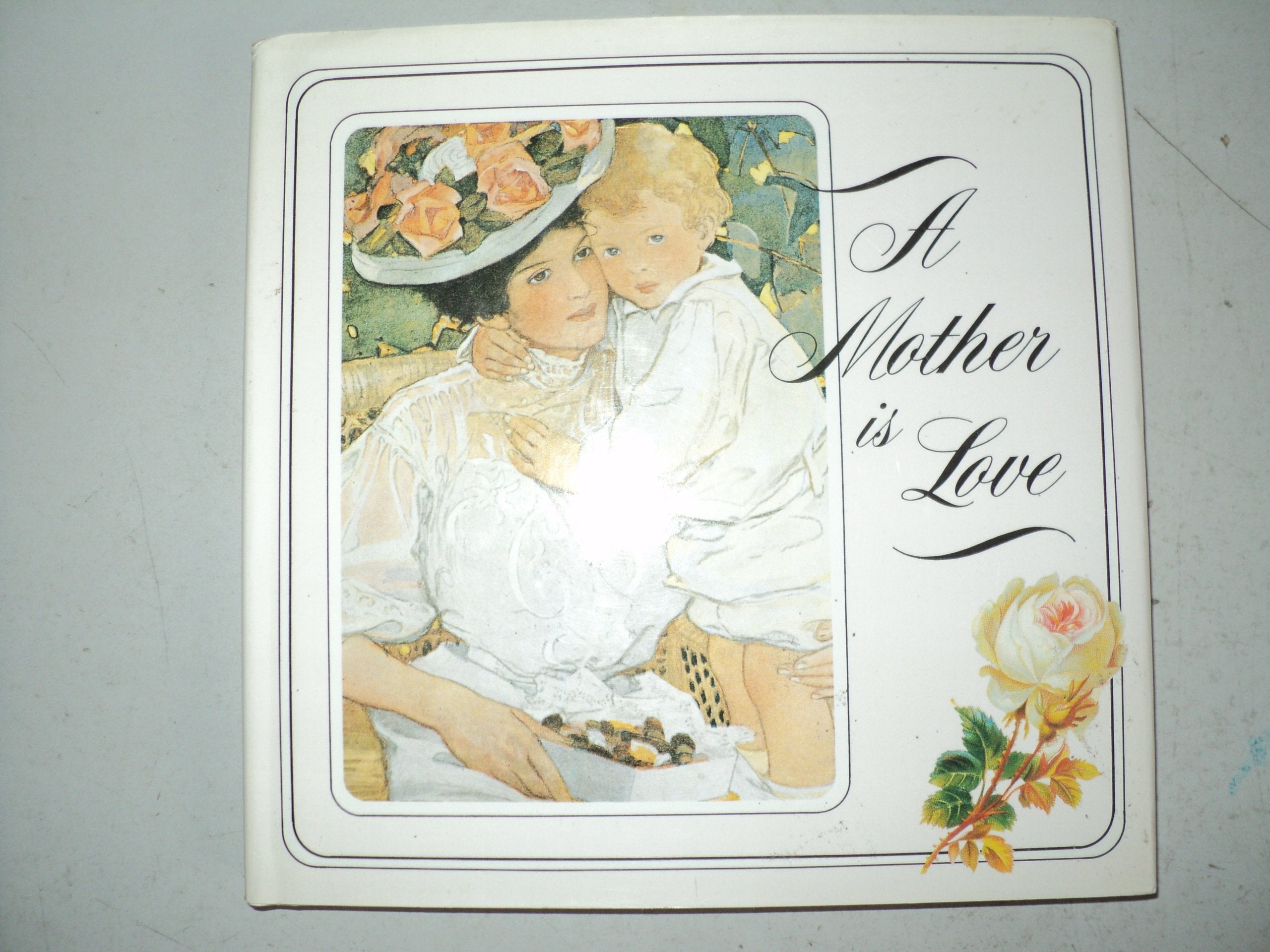 A Mother Is Love used book depot