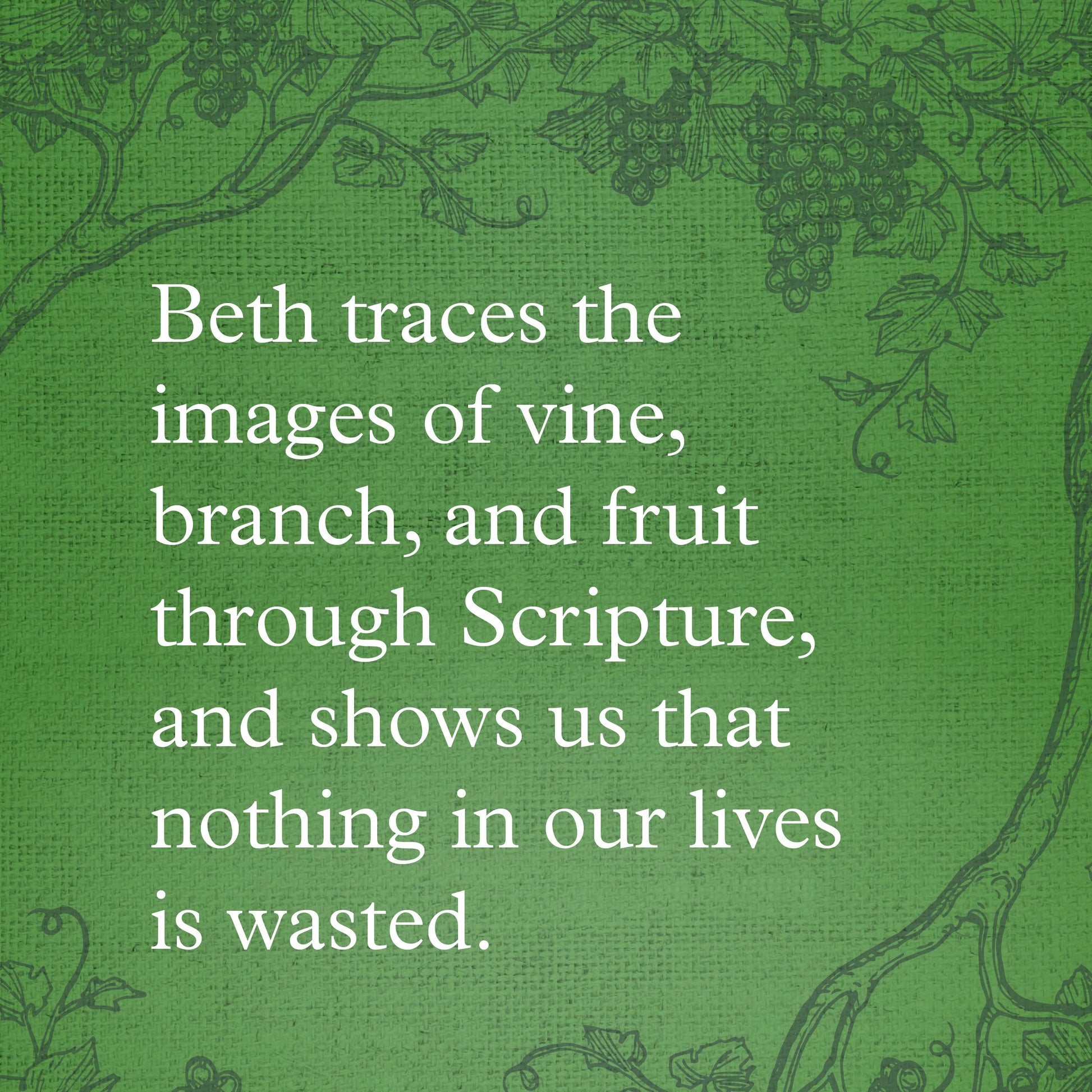 Chasing Vines: Finding Your Way to an Immensely Fruitful Life used book depot