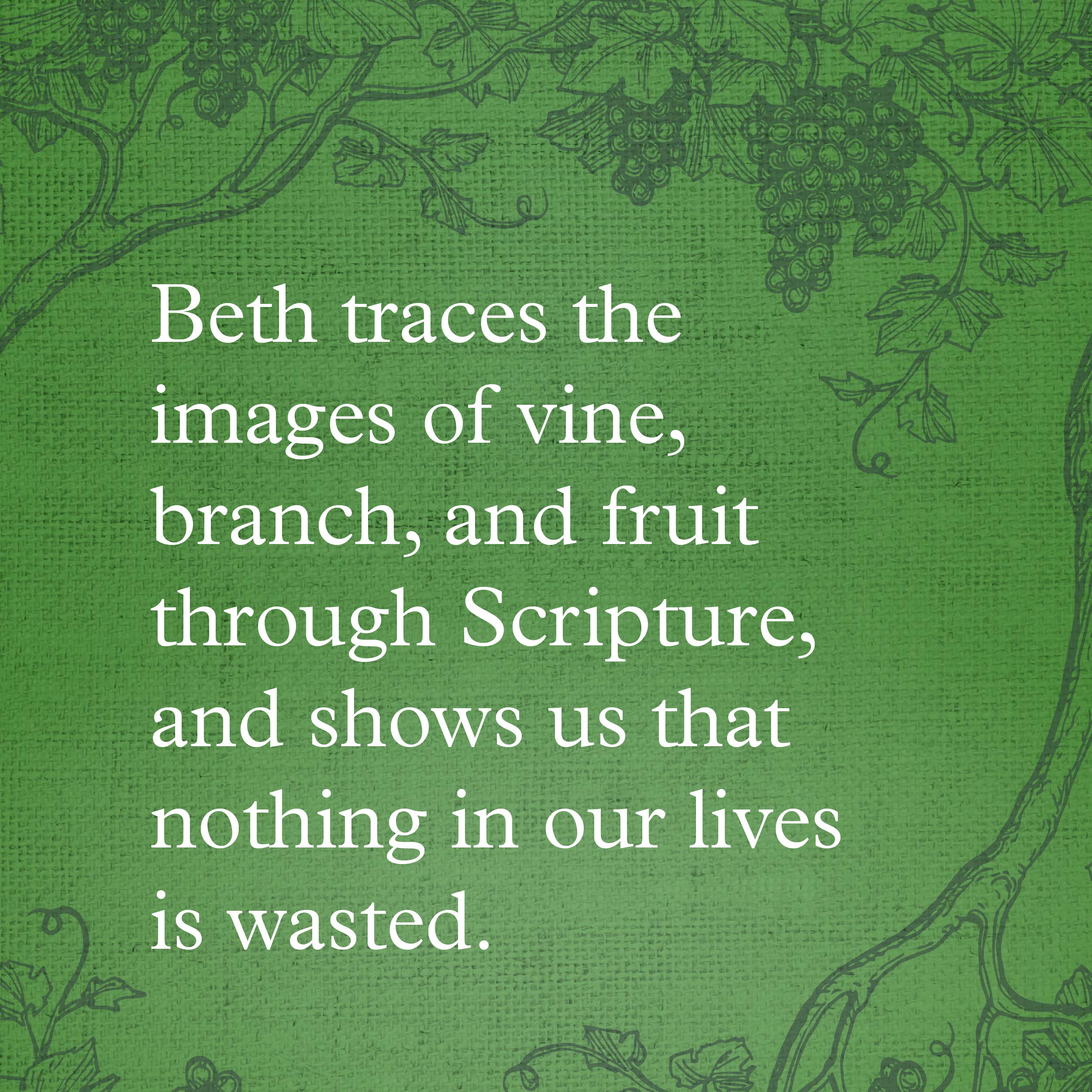 Chasing Vines: Finding Your Way to an Immensely Fruitful Life used book depot