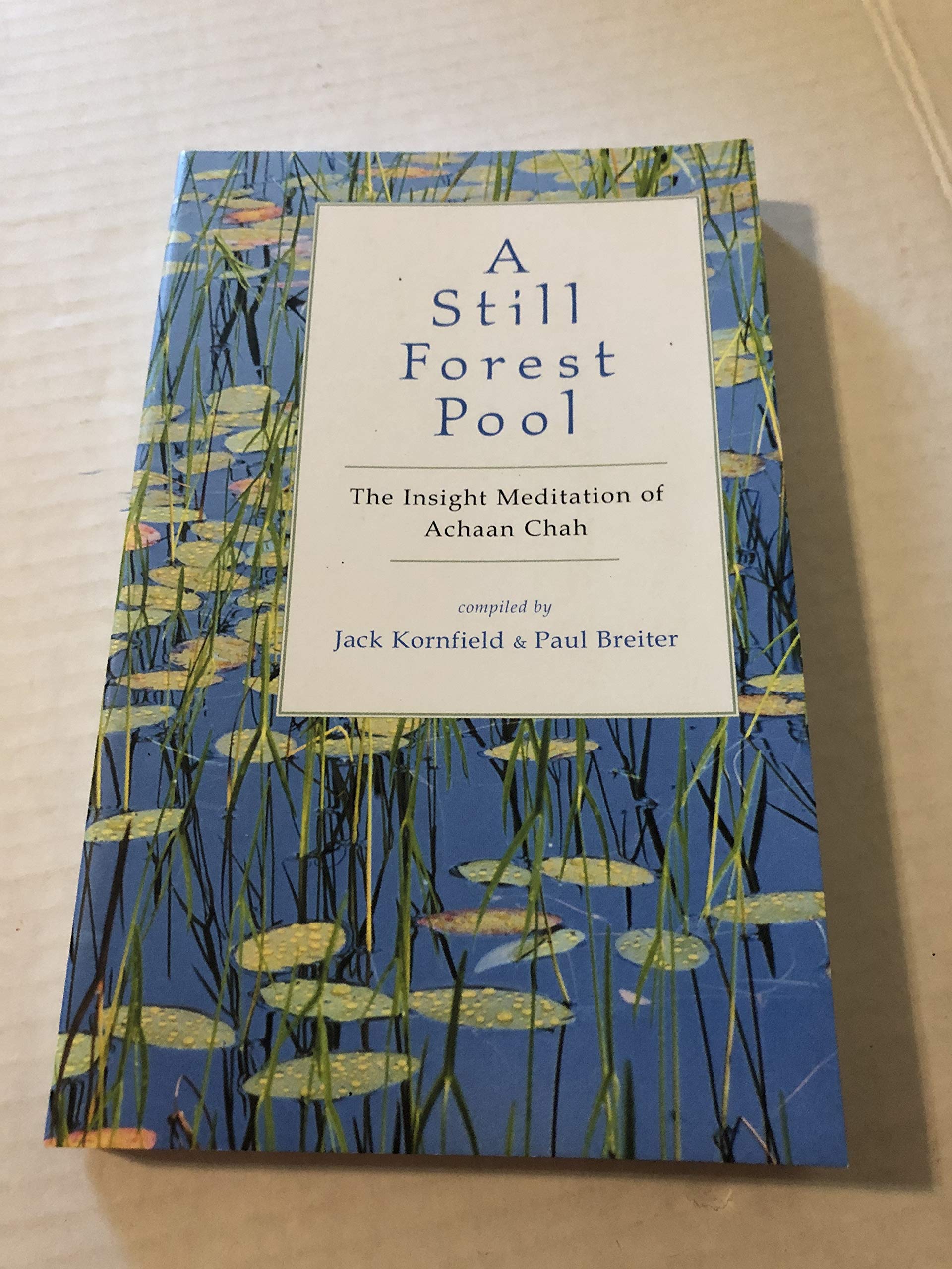 A Still Forest Pool: The Insight Meditation of Achaan Chah (Quest Book)
