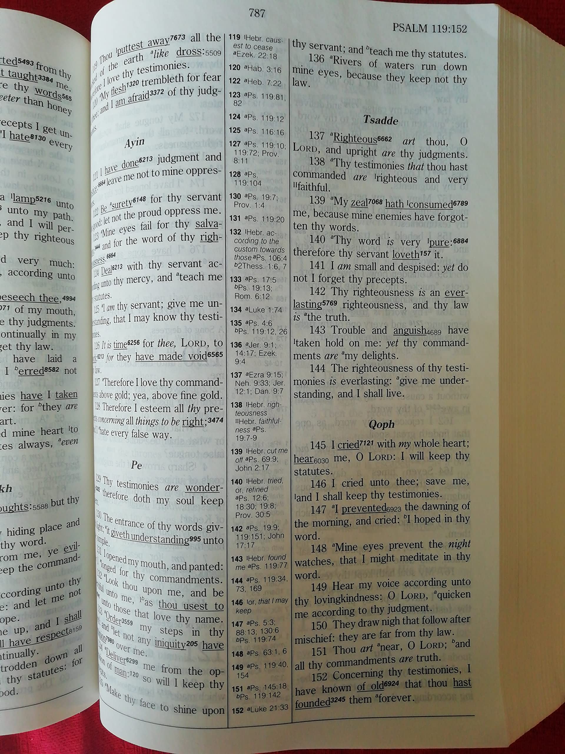 Hebrew-Greek Key Study Bible: King James Version used book depot