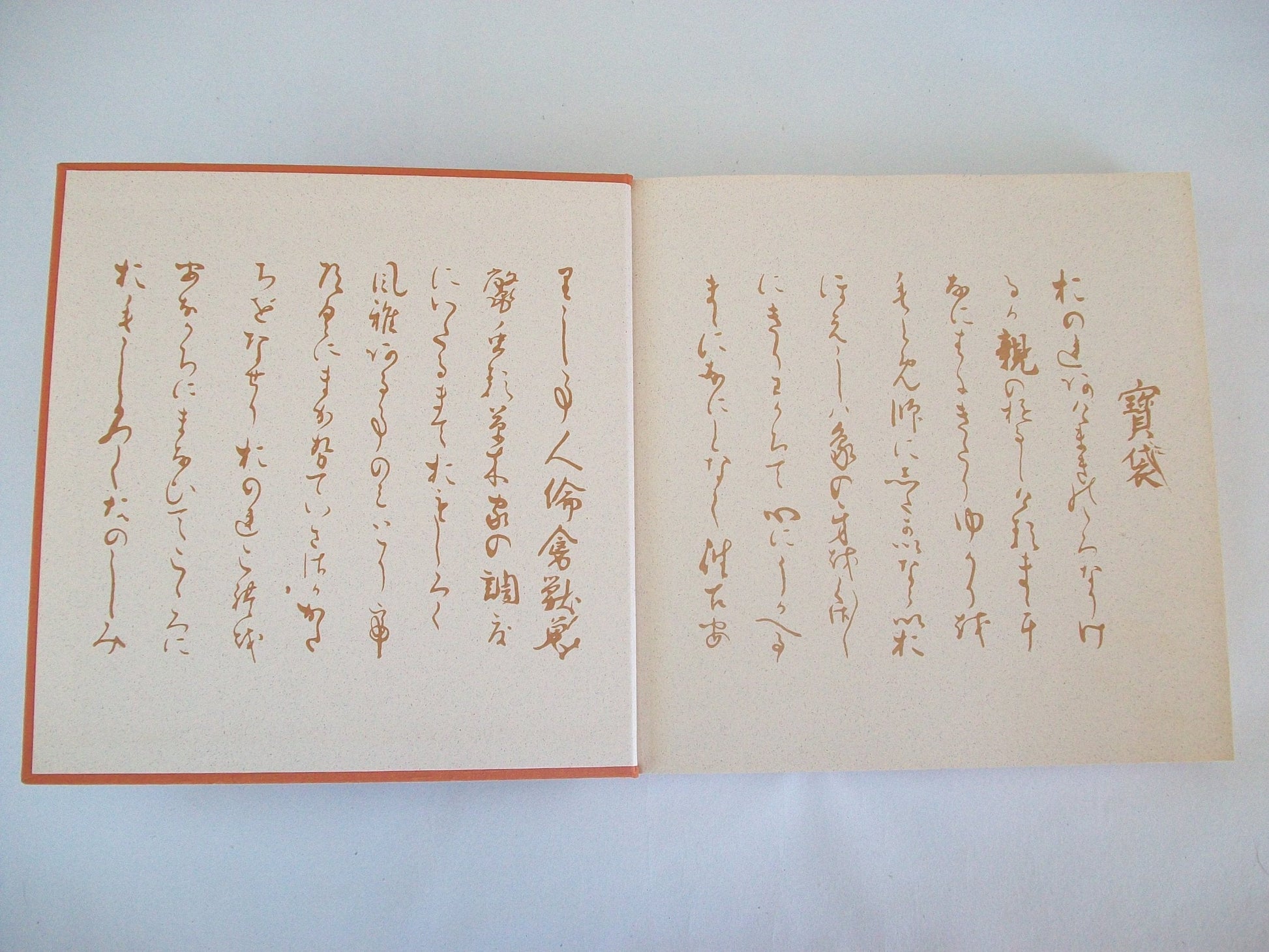 Takarabukuro (Treasure Bag): A Netsuke Artist's Notebook used book depot