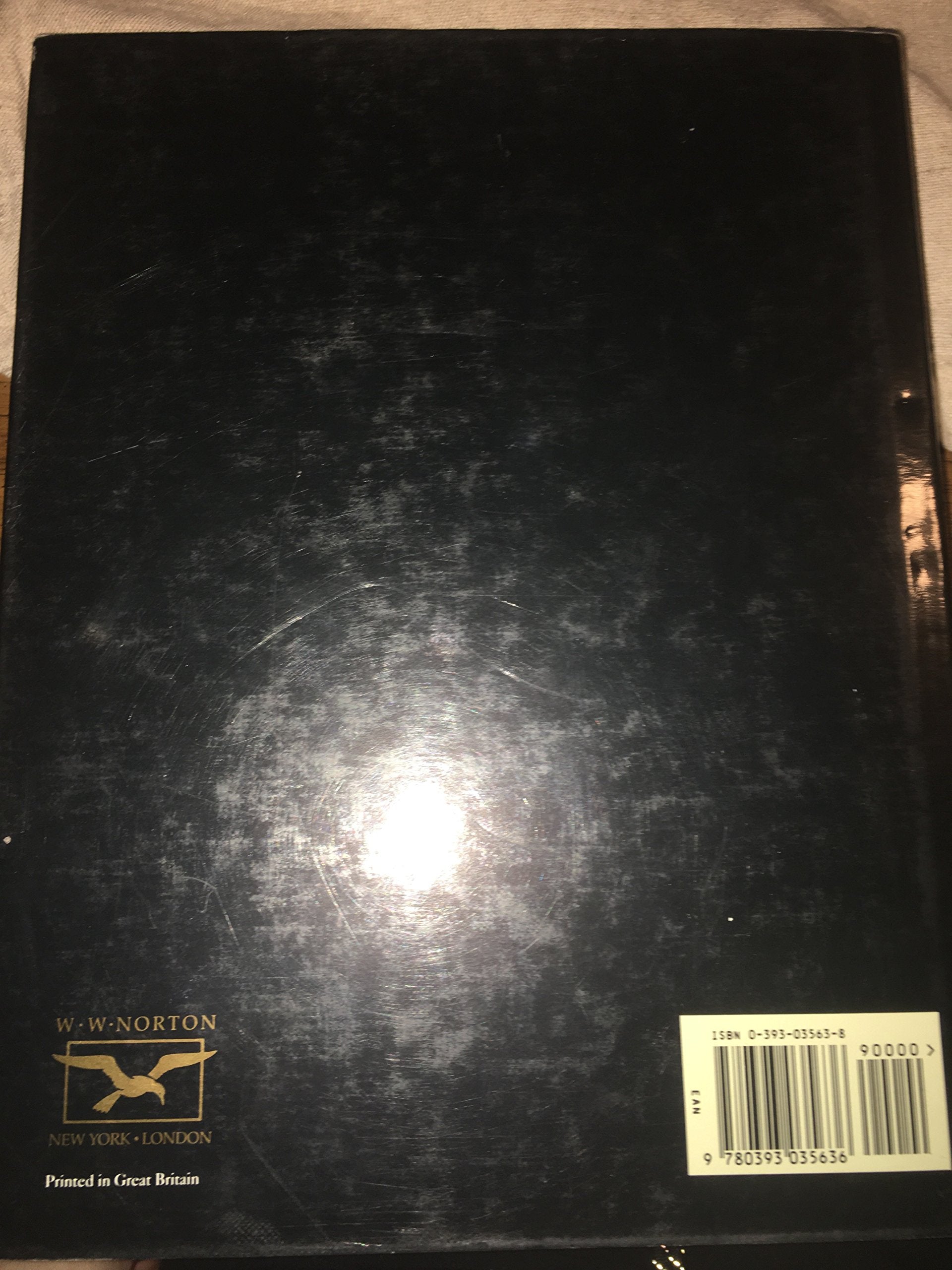 Florence: The Biography of a City used book depot