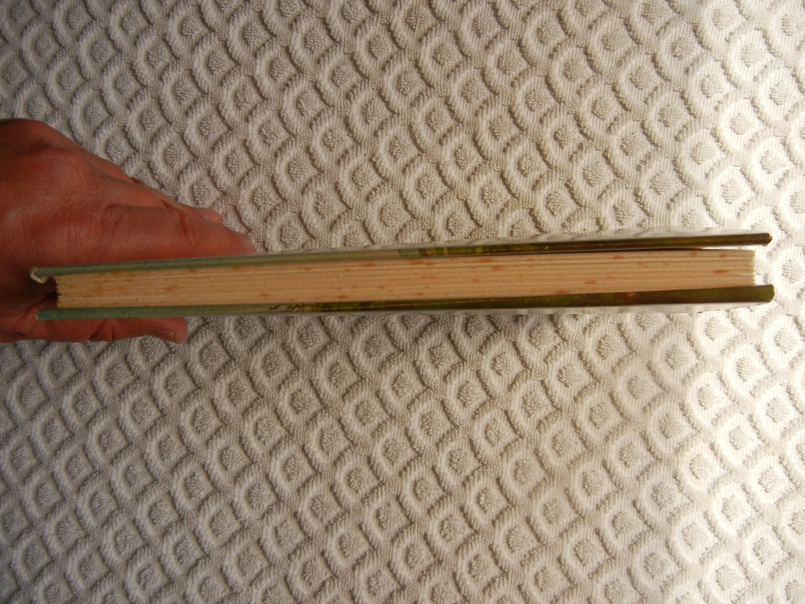 PT06