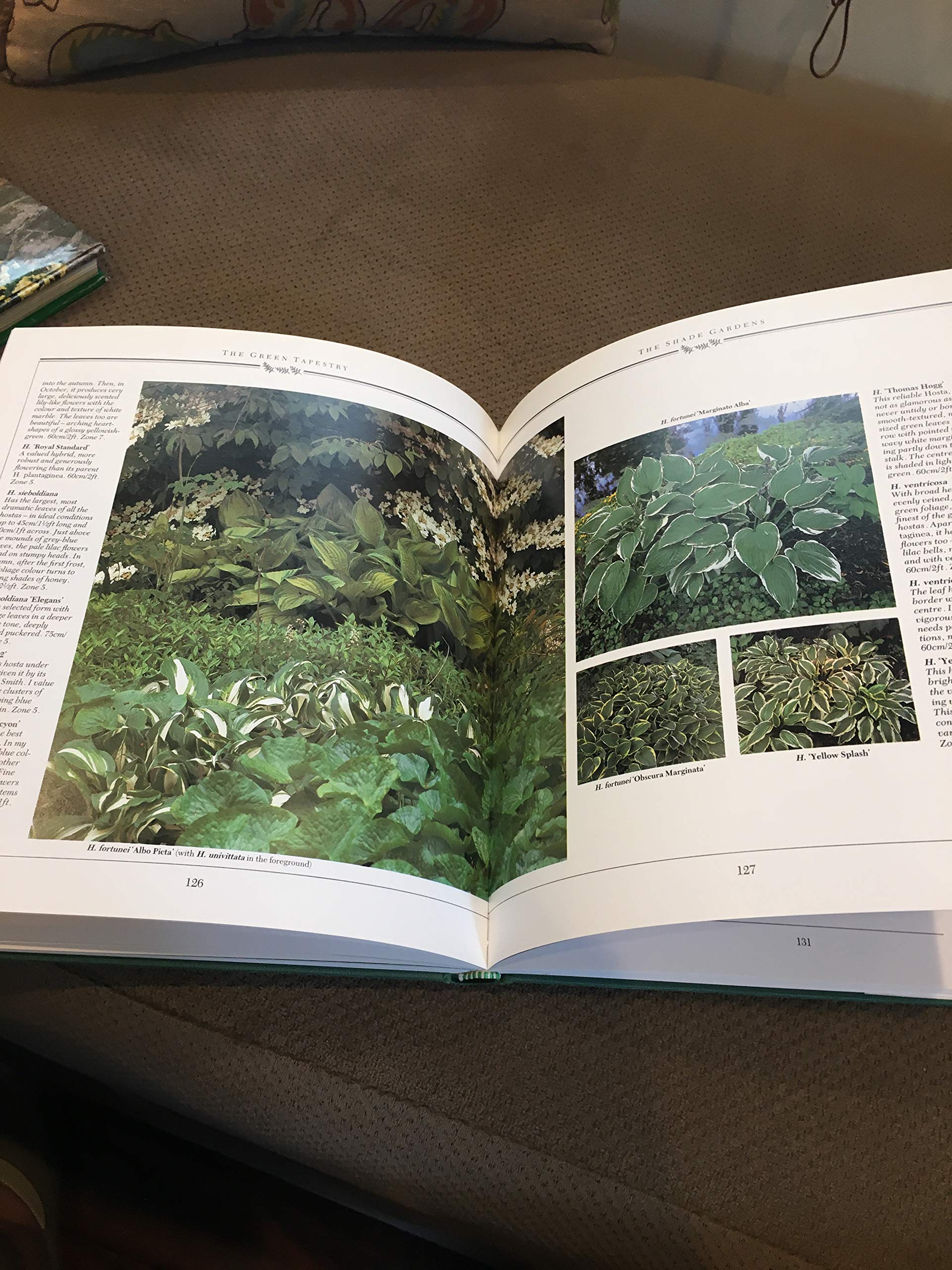 The Green Tapestry
