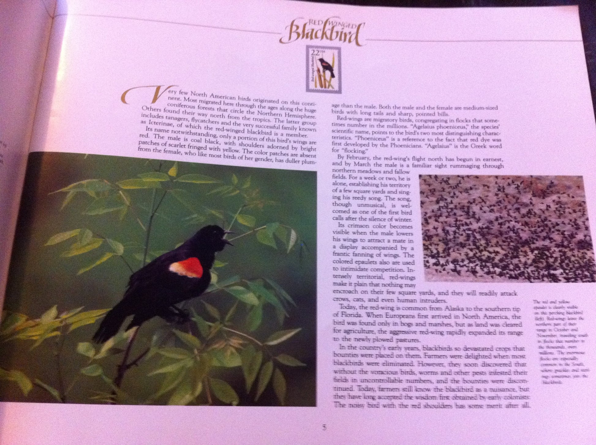 Wildlife America: A Collection of U.S. Commemorative Stamps used book depot