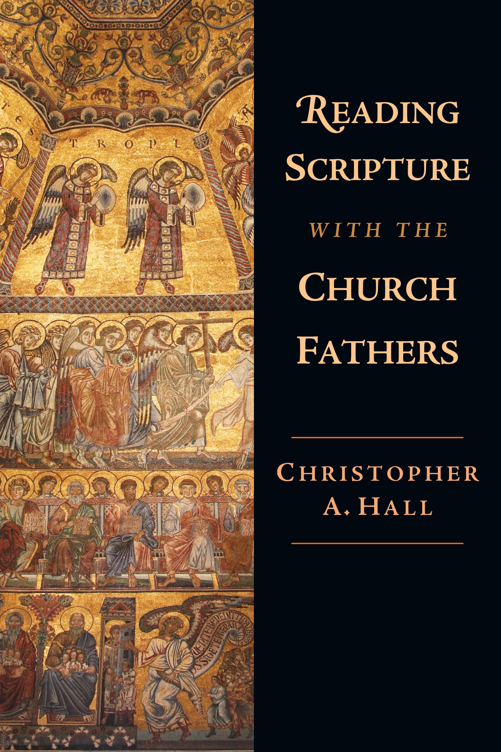 Reading Scripture with the Church Fathers used book depot
