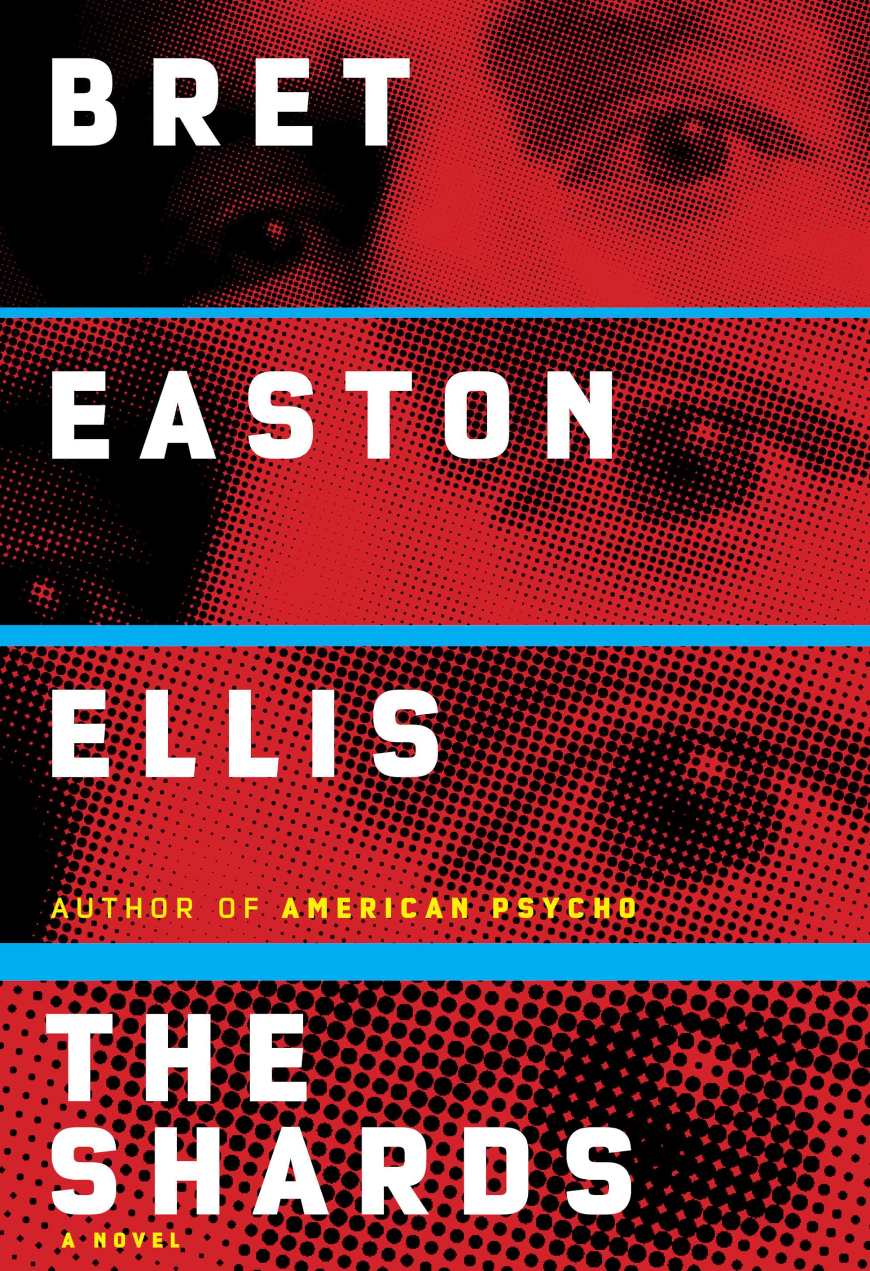 The Shards: A novel used book depot