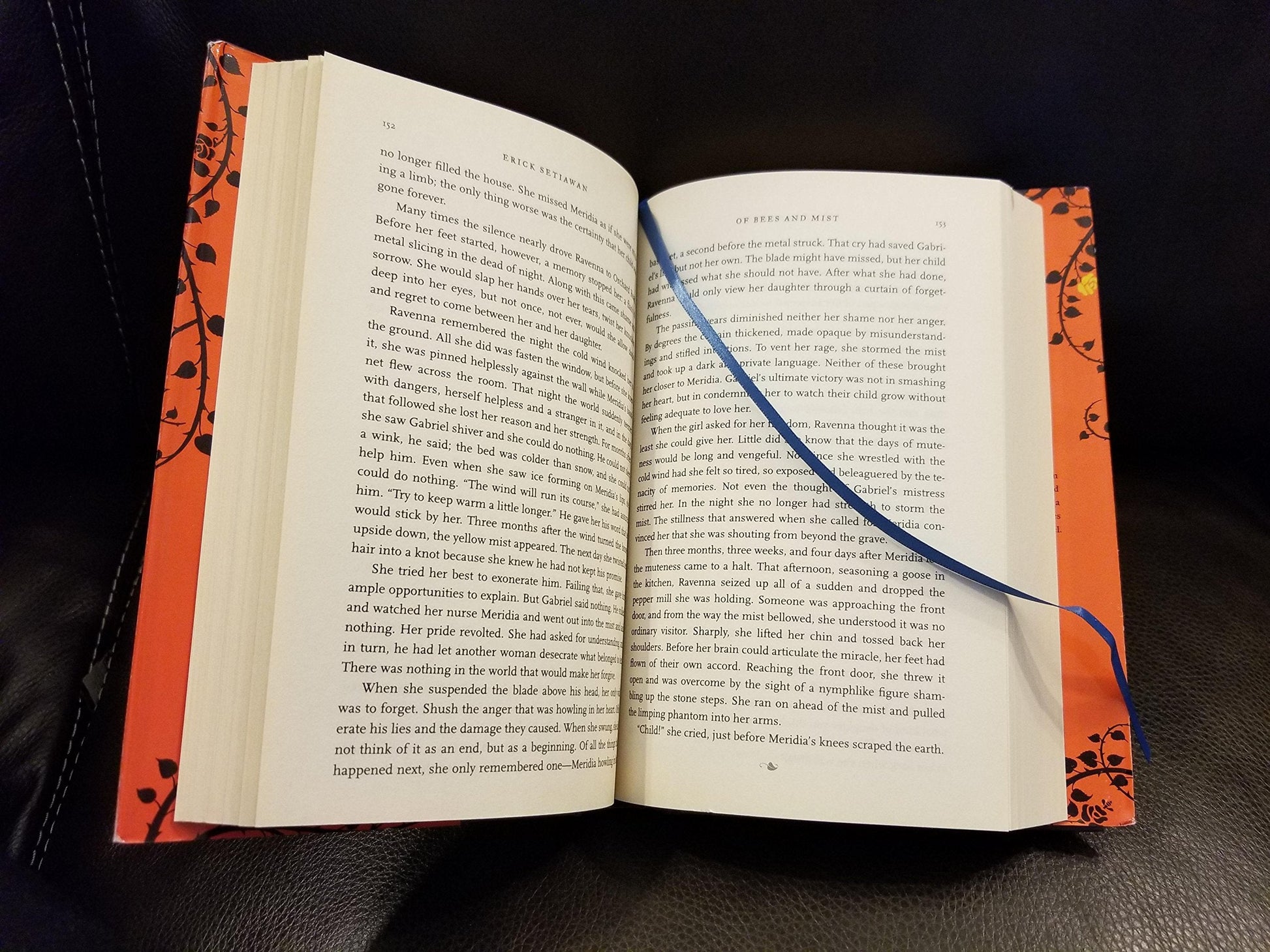 Of Bees and Mist: A Novel used book depot