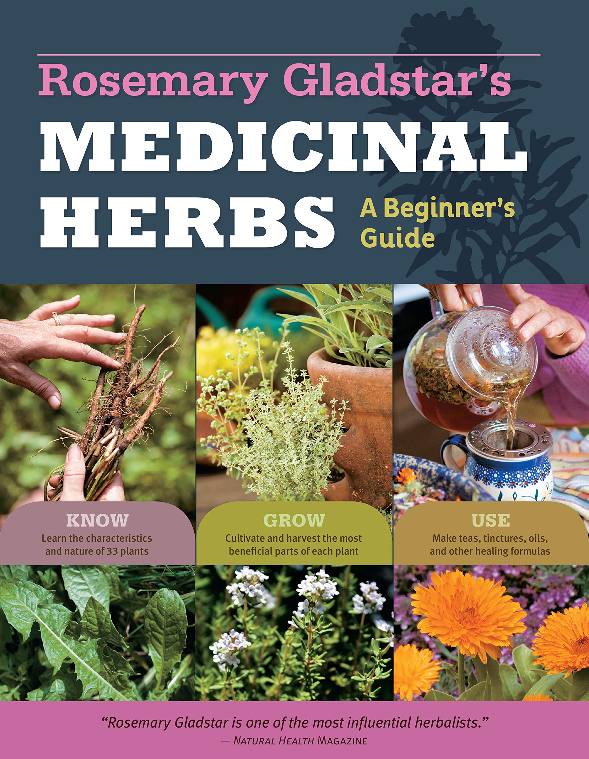 Rosemary Gladstar's Medicinal Herbs: A Beginner's Guide: 33 Healing Herbs to Know, Grow, and Use used book depot