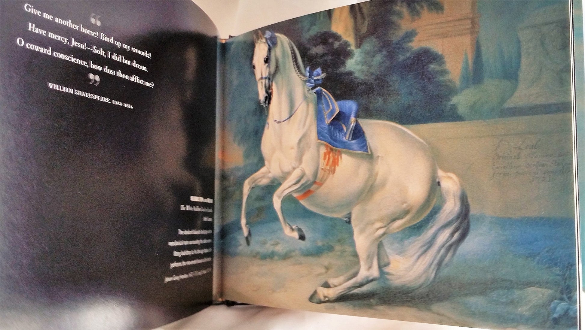 Horse: From Noble Steeds to Beasts of Burden used book depot
