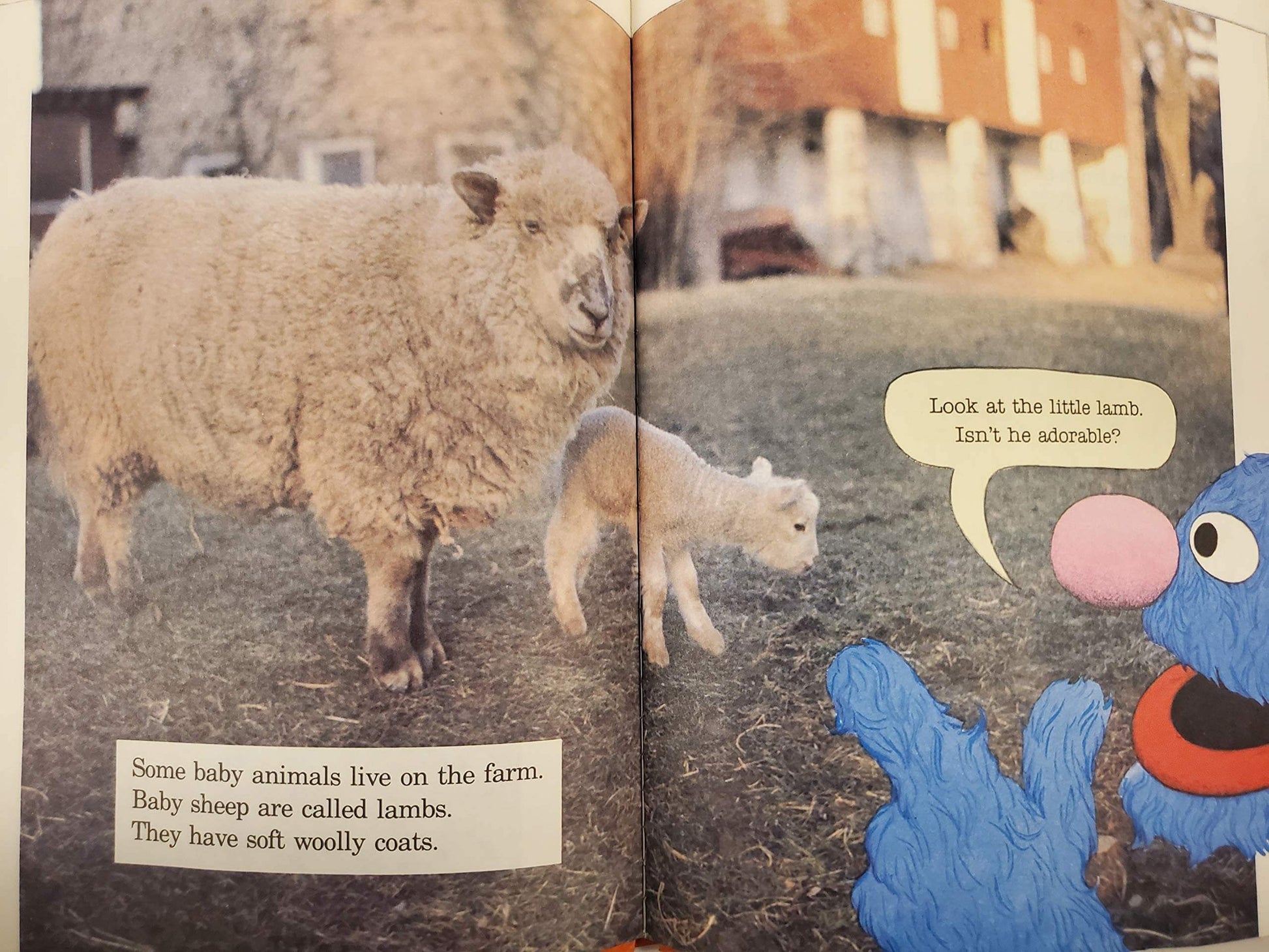 Grover's Book of Cute Little Baby Animals: Featuring Jim Henson's Sesame Street Muppets used book depot