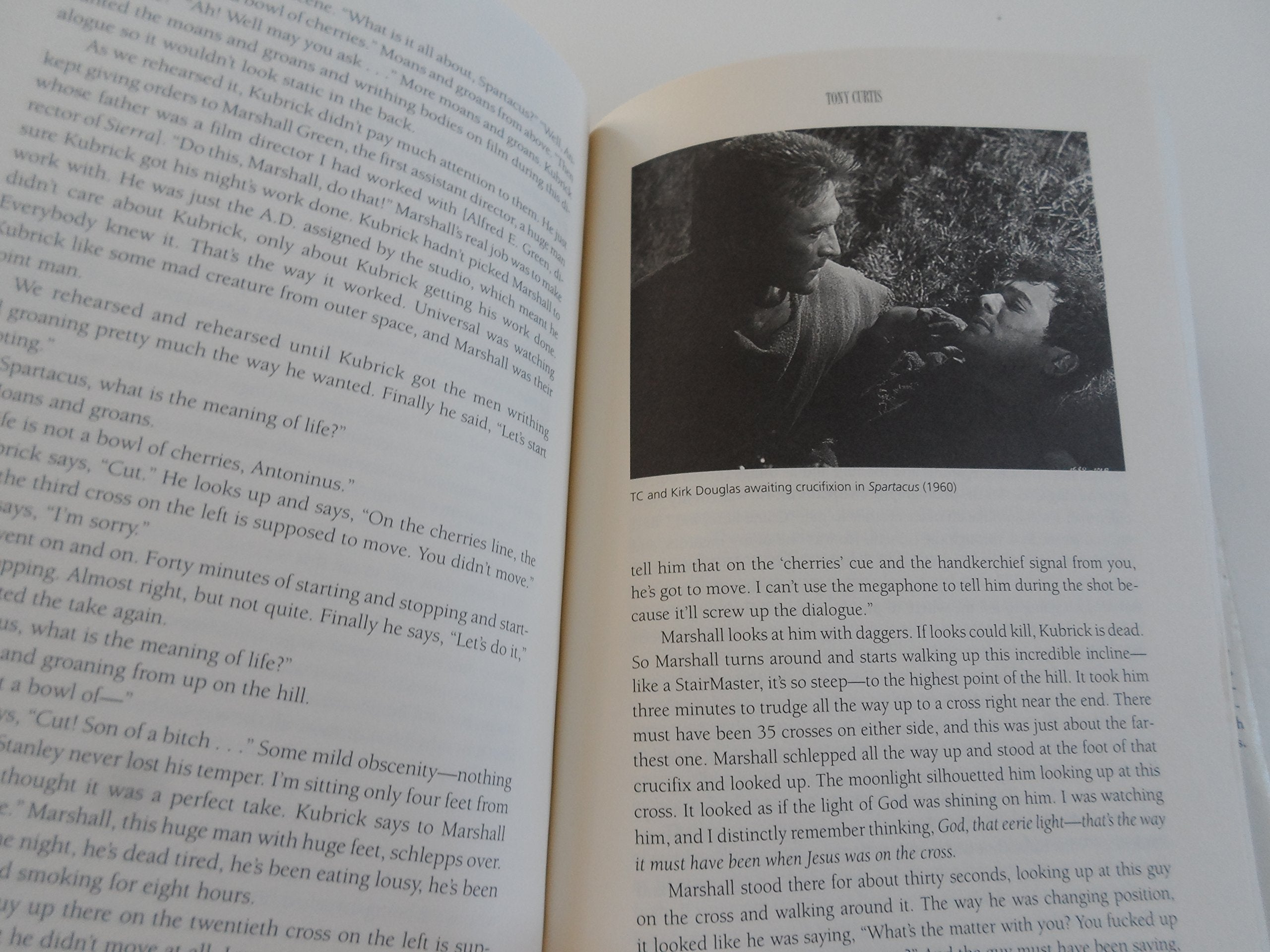 Tony Curtis: The Autobiography used book depot