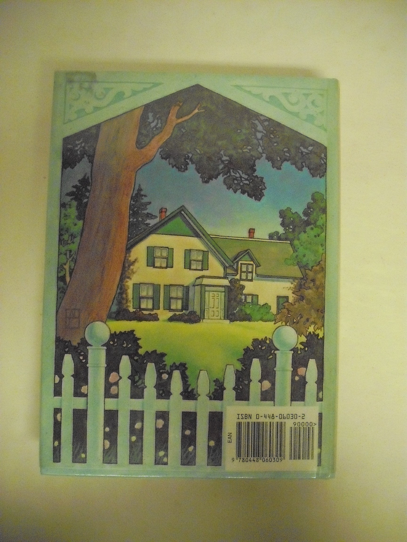 Anne of Green Gables (Illustrated Junior Library) used book depot